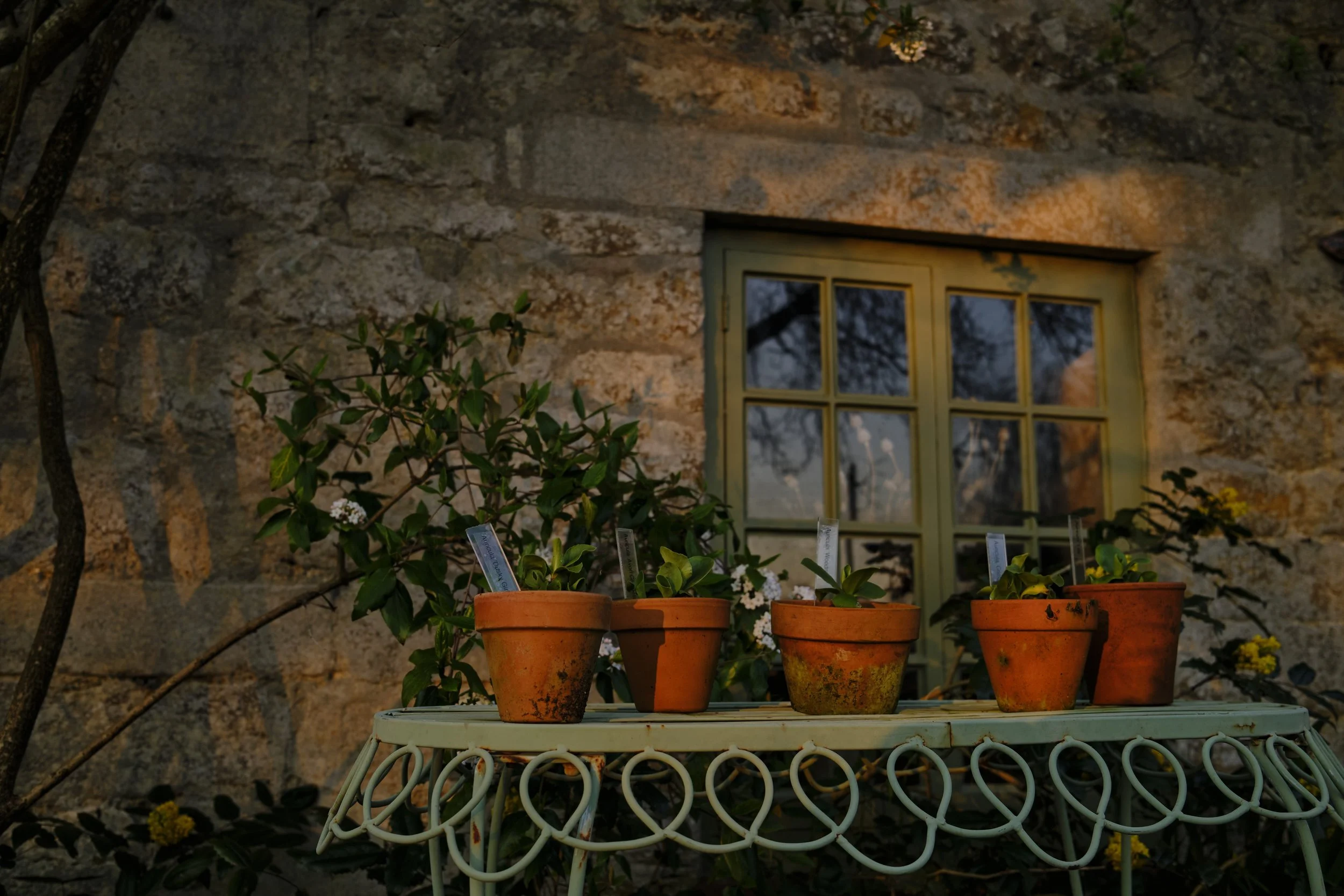 DSCF2396.jpg