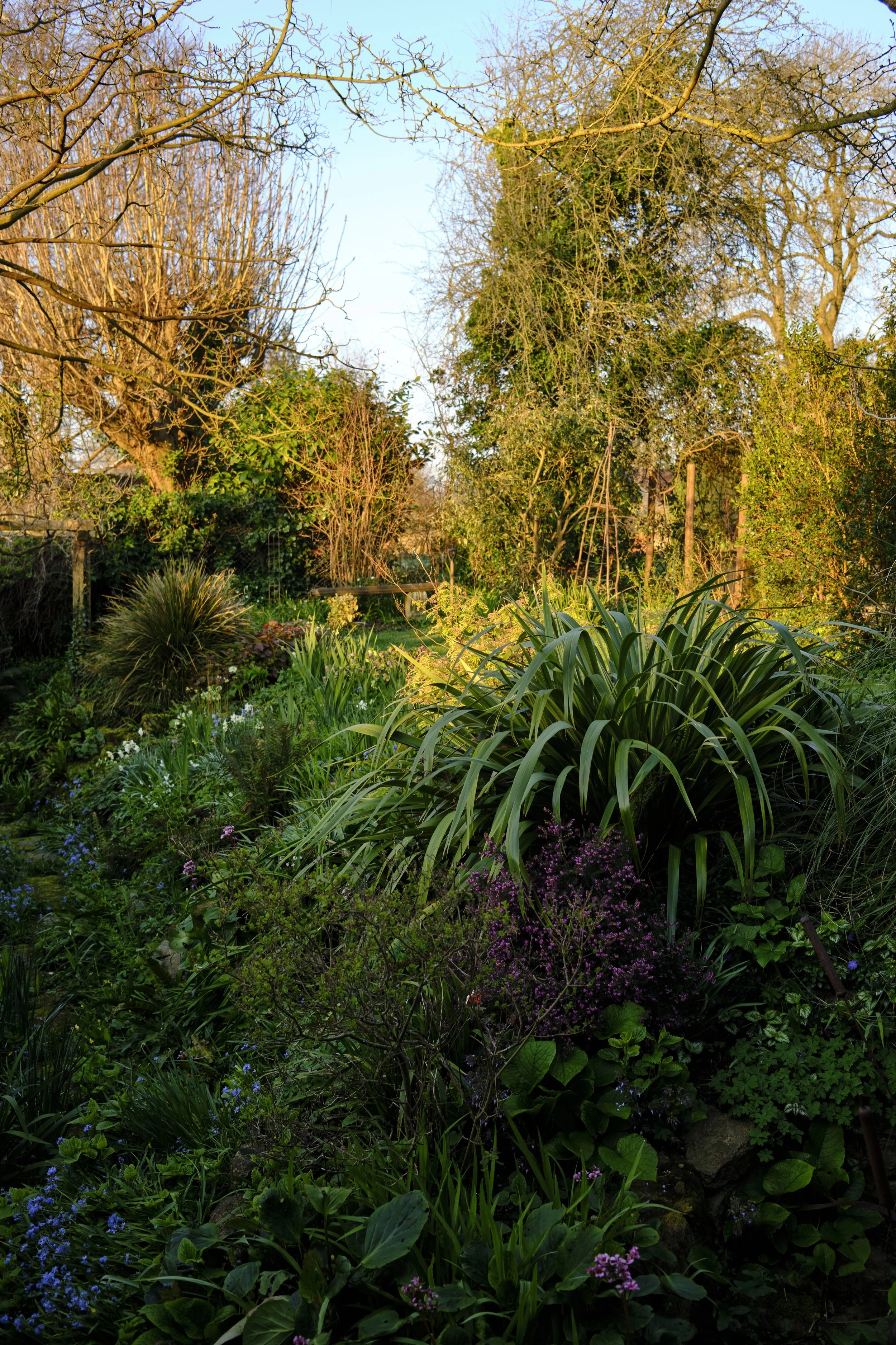 DSCF2473.jpg