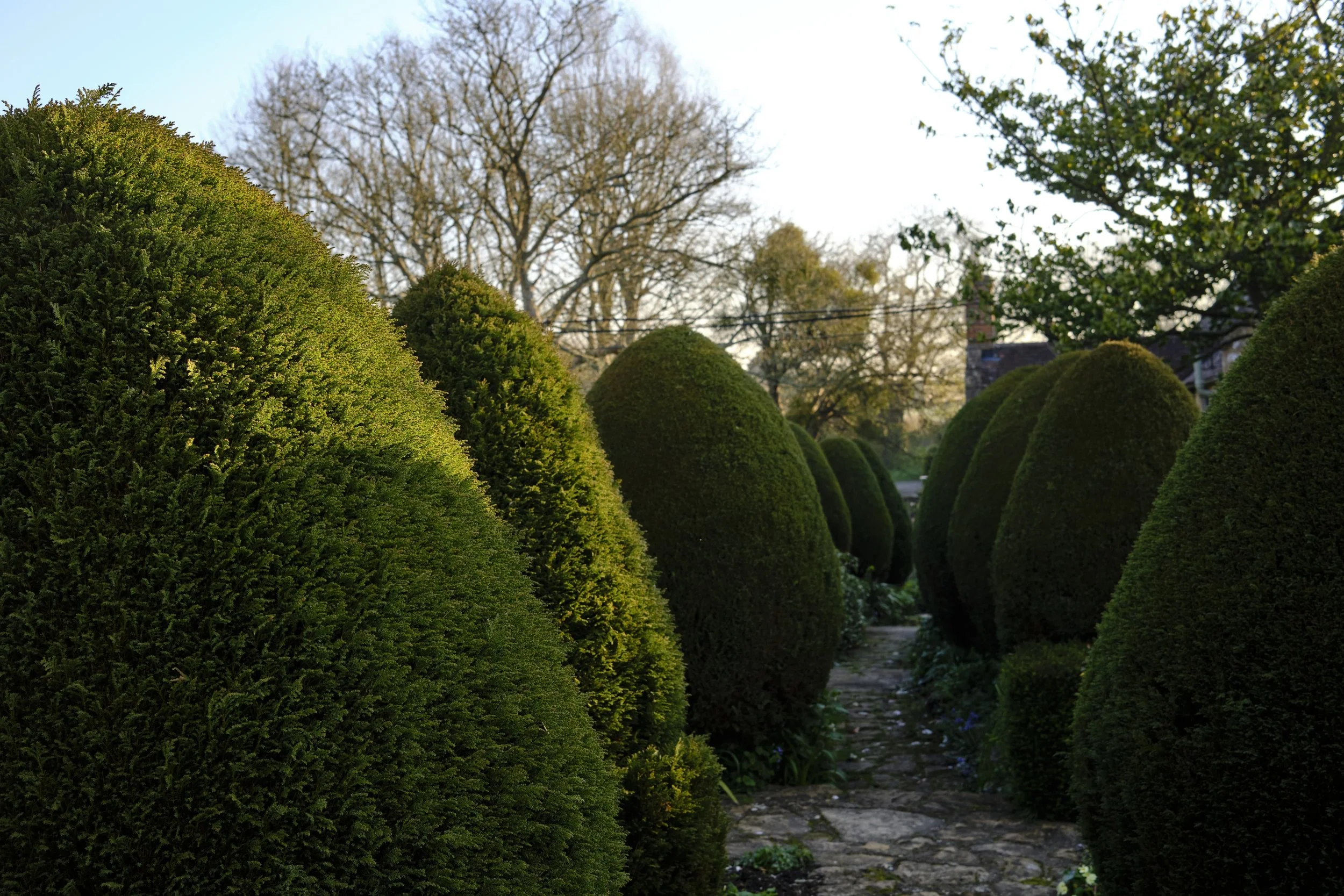 DSCF2613.jpg
