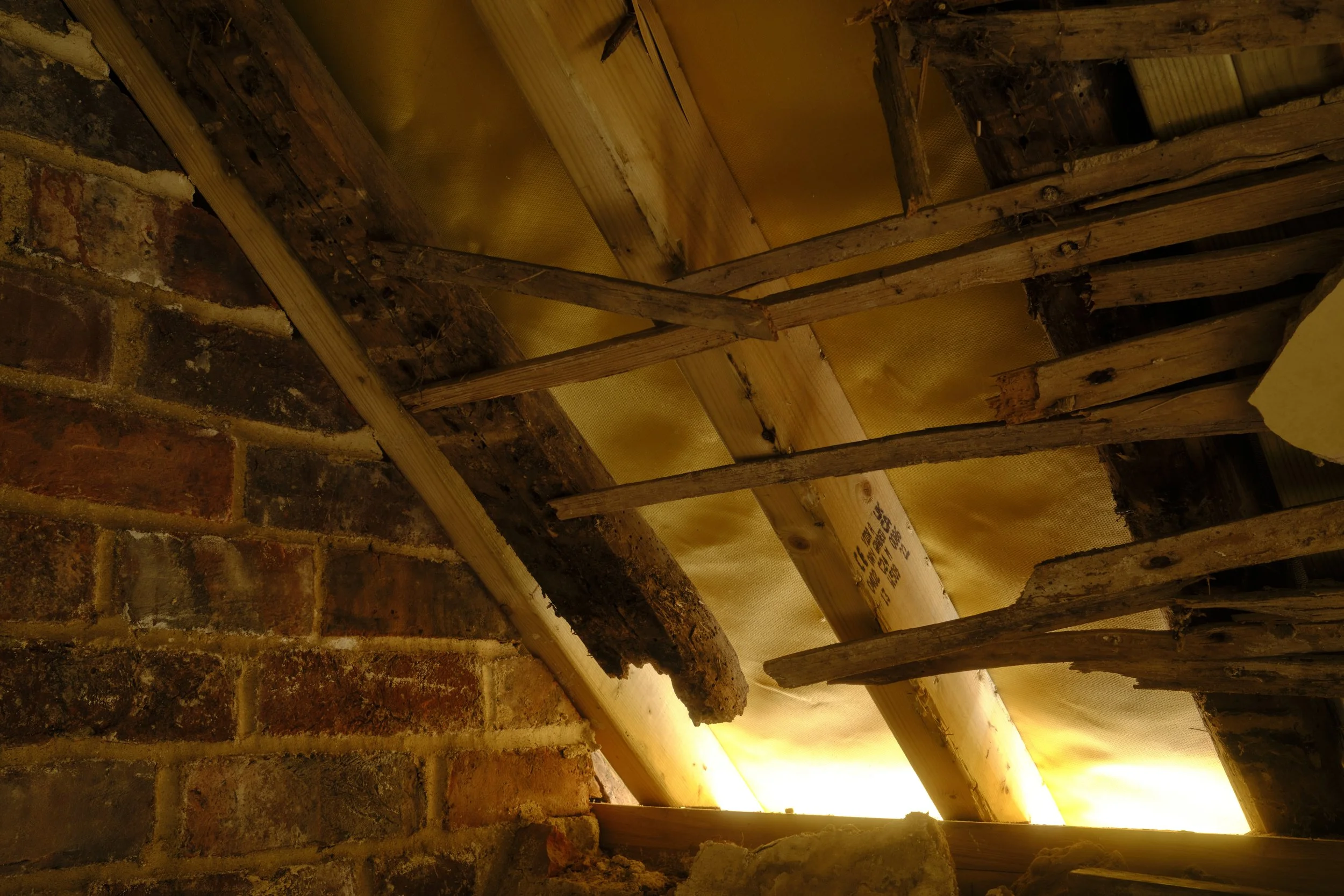 Back Bedroom - Damage details 124.jpg