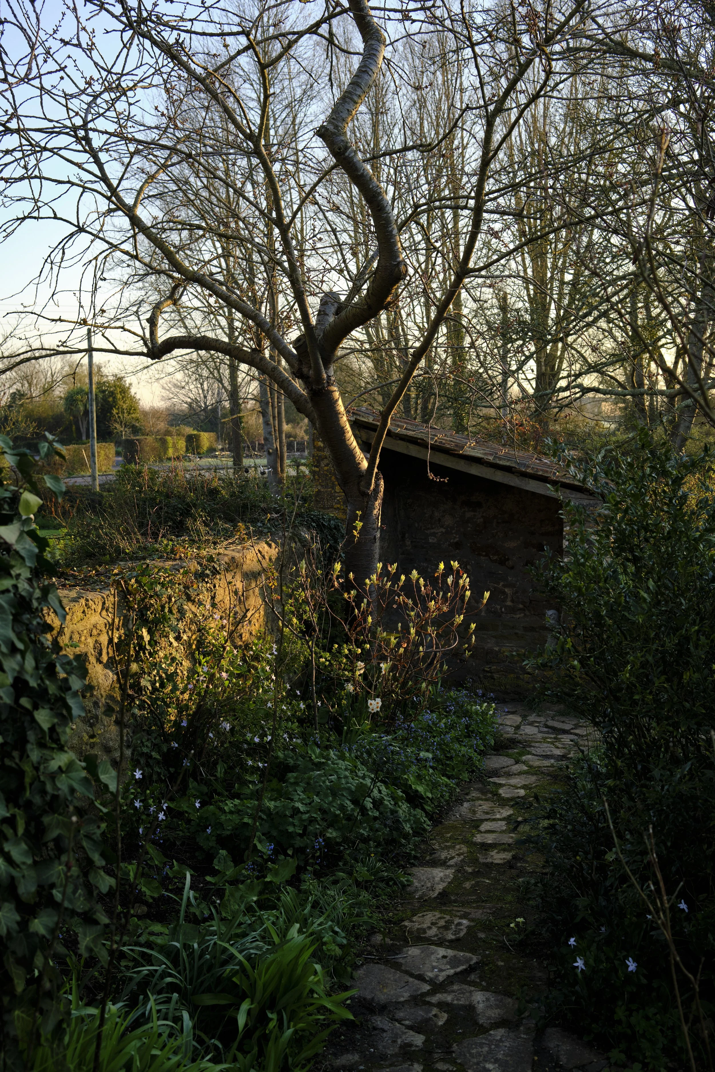 DSCF2487.jpg