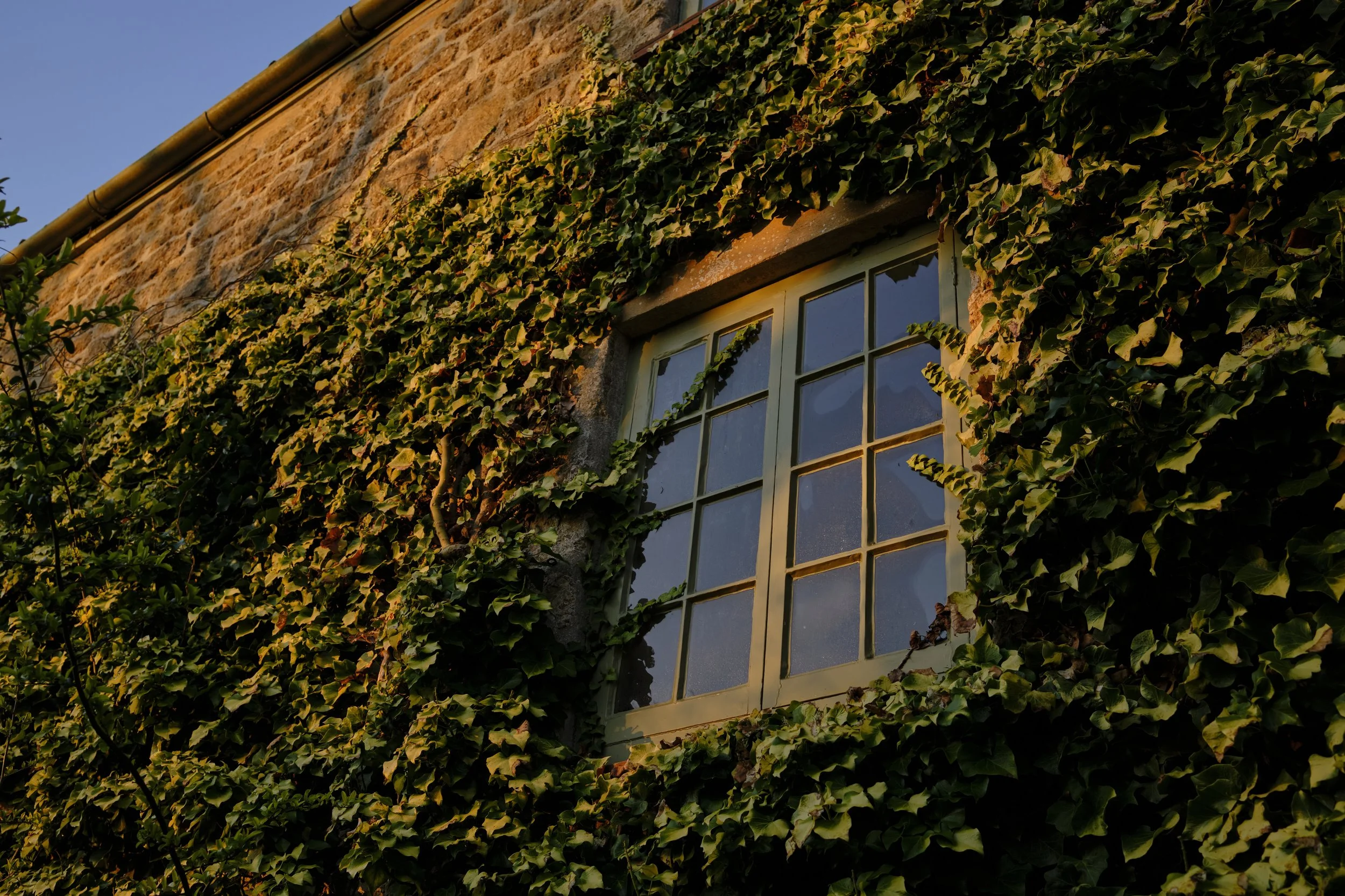 Copyright Laurence Cummins Photography / East Lambrook Manor Gardens - 