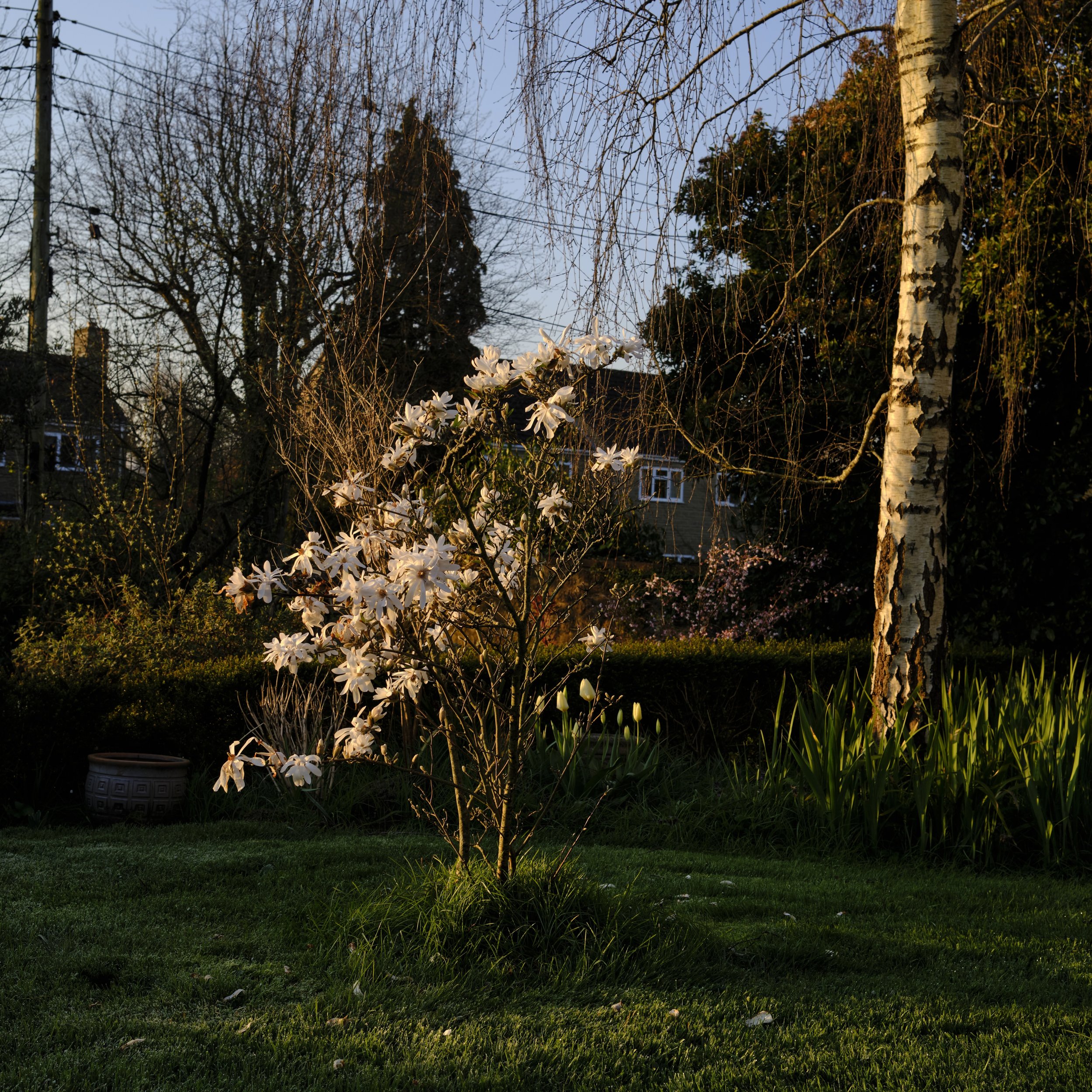 DSCF2492.jpg