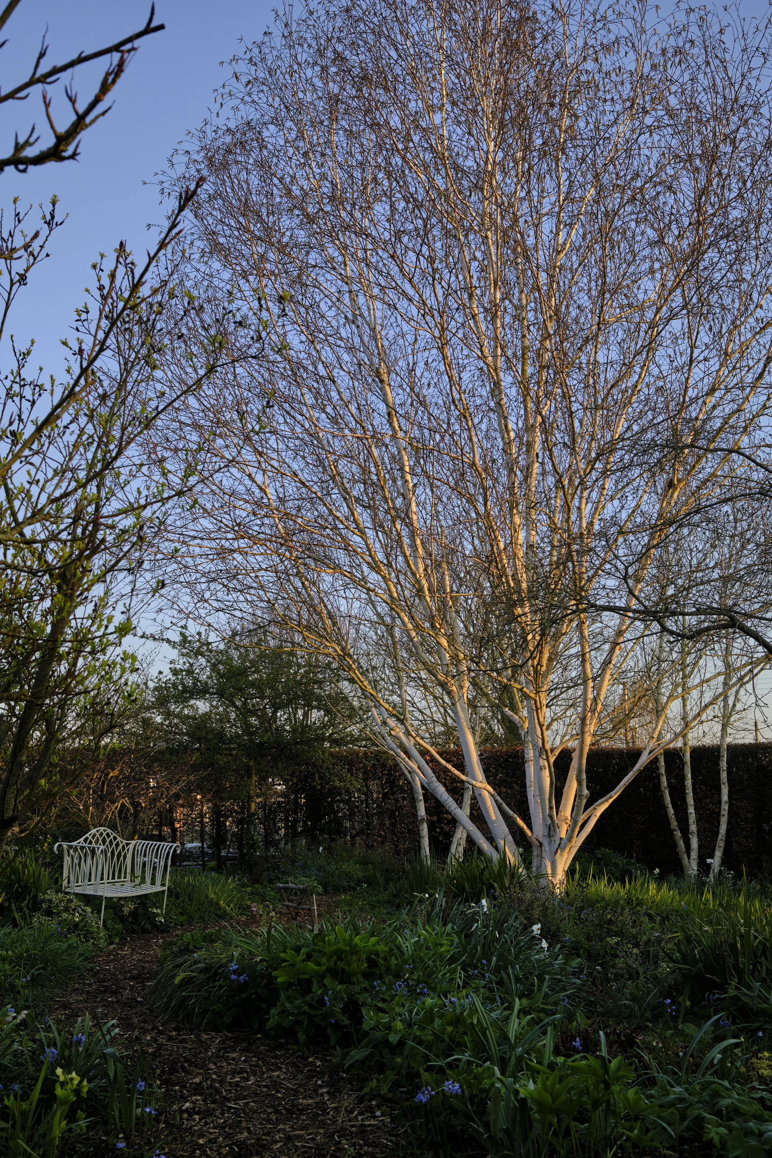 DSCF2428.jpg