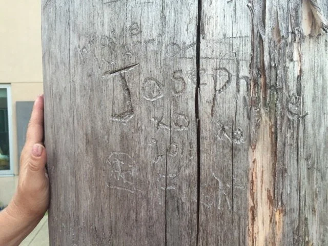 Faded carved graffiti on a weathered wooden surface with the name 'Josie P' and some other indistinct markings.