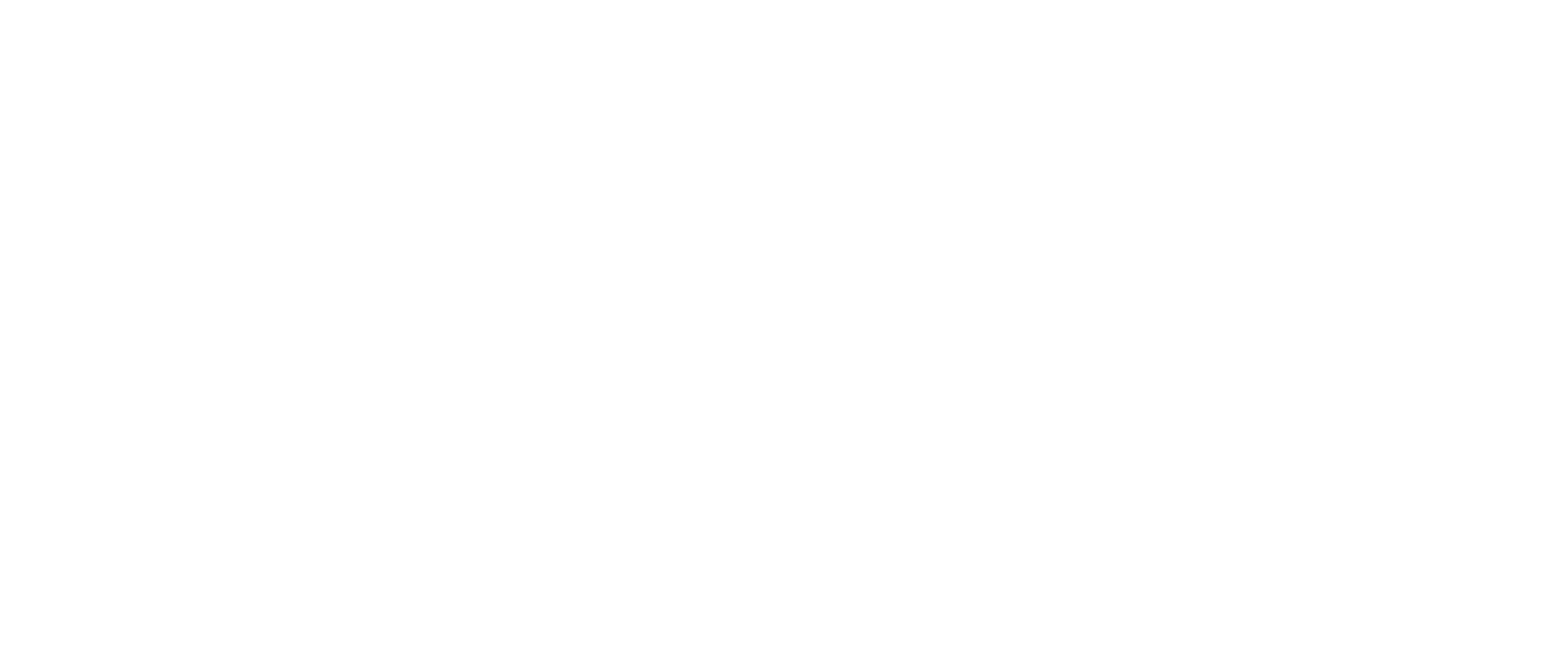 Levels Live