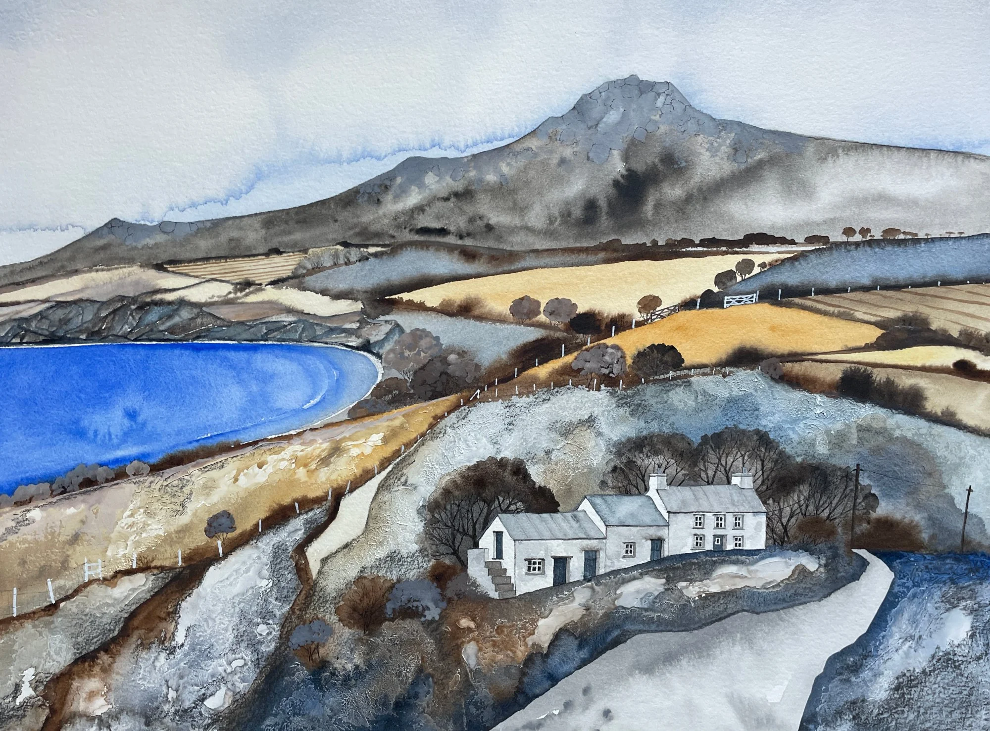 Dinas Farm.jpeg