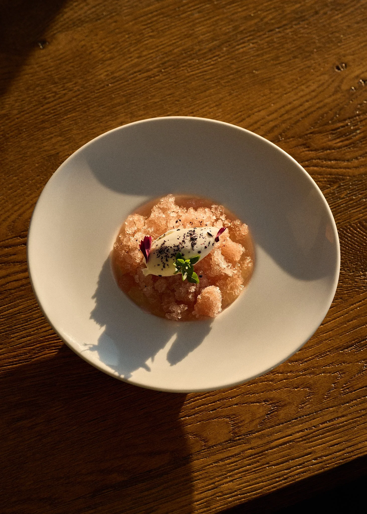 Plat de dessert glacé avec sorbet, sur une table en bois au soleil couchant.