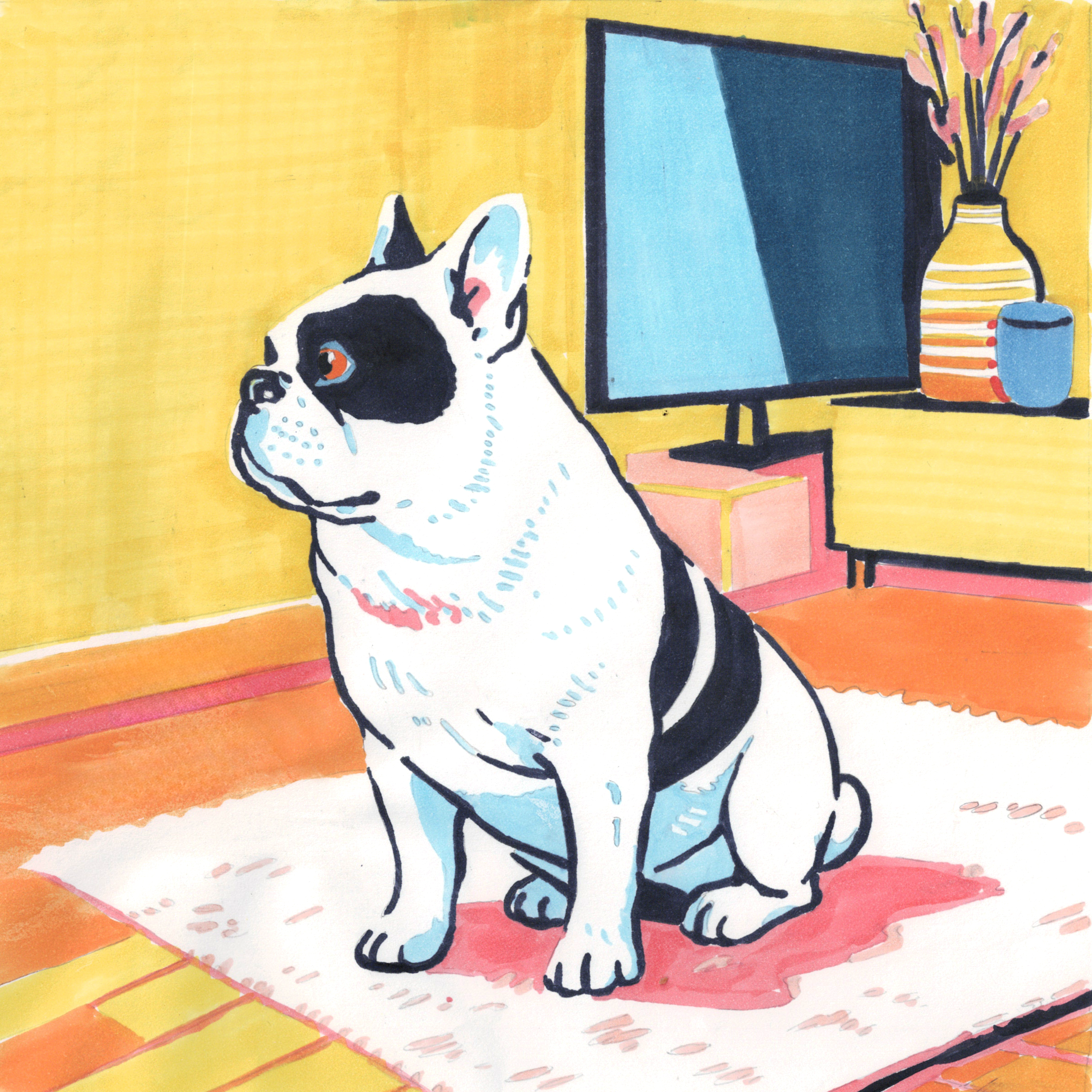 Dog Stories