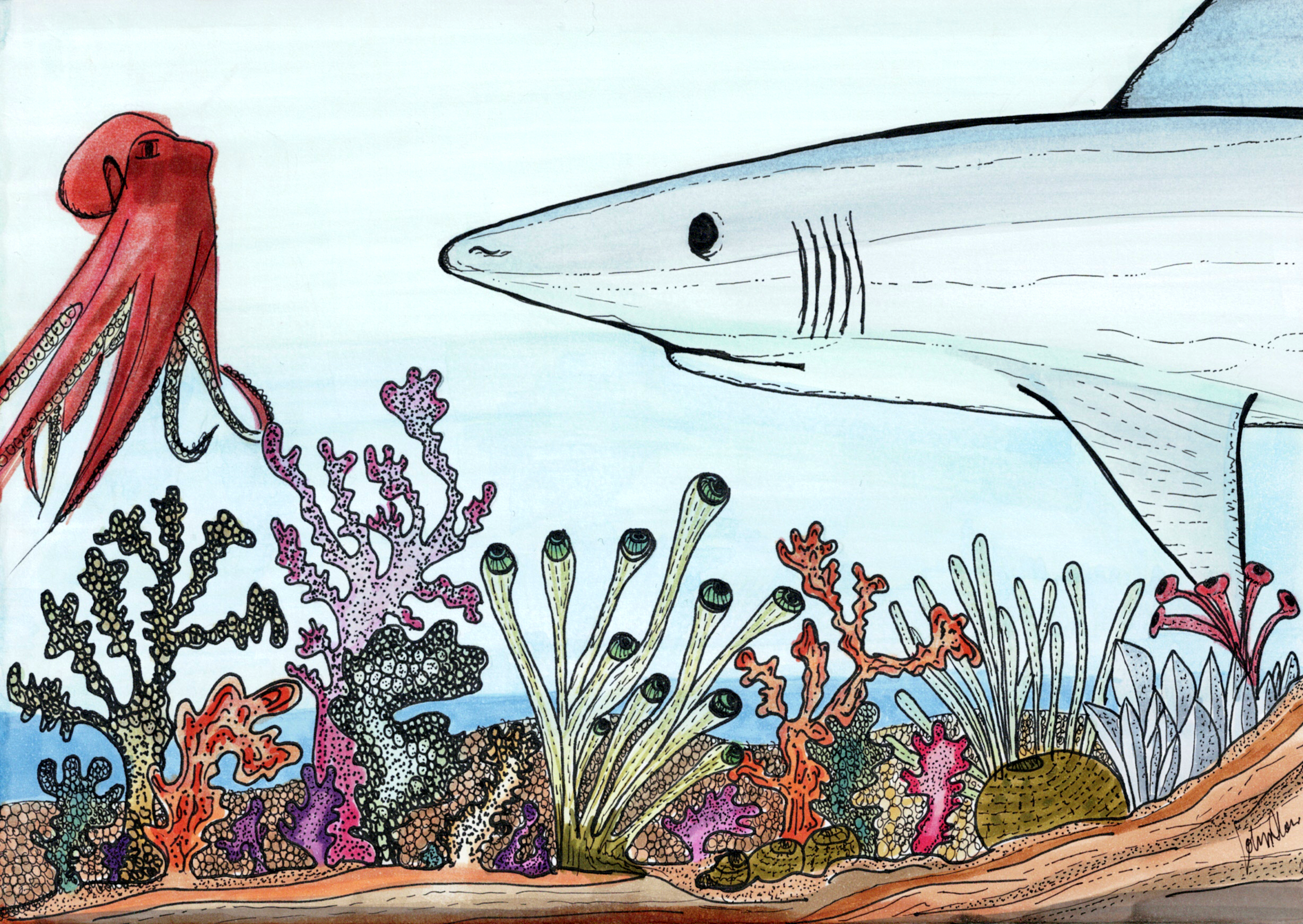 Where the Ocean Begins: Sharky loved the quiet places.