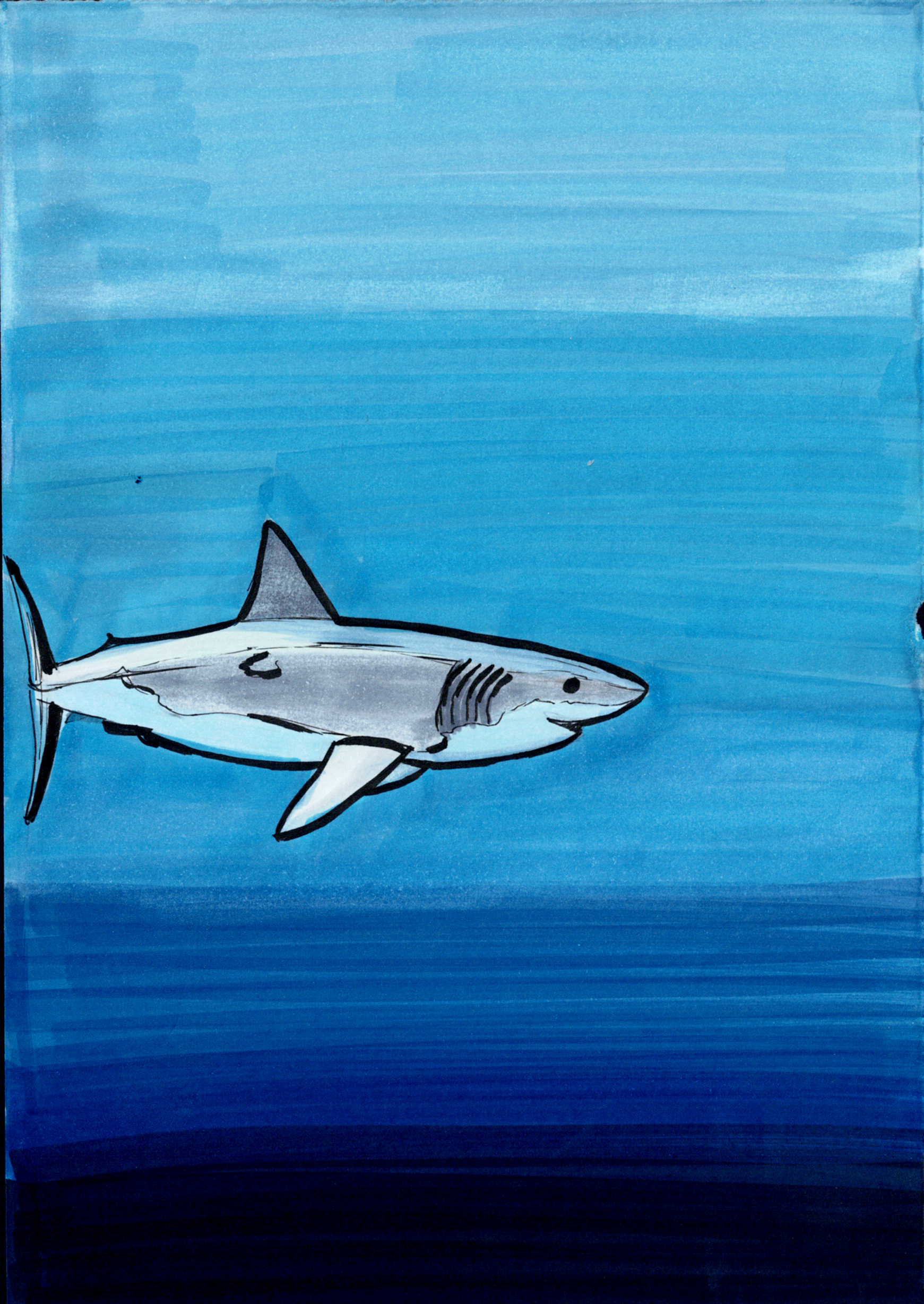 Where the Ocean Begins: Then he saw the Great White.