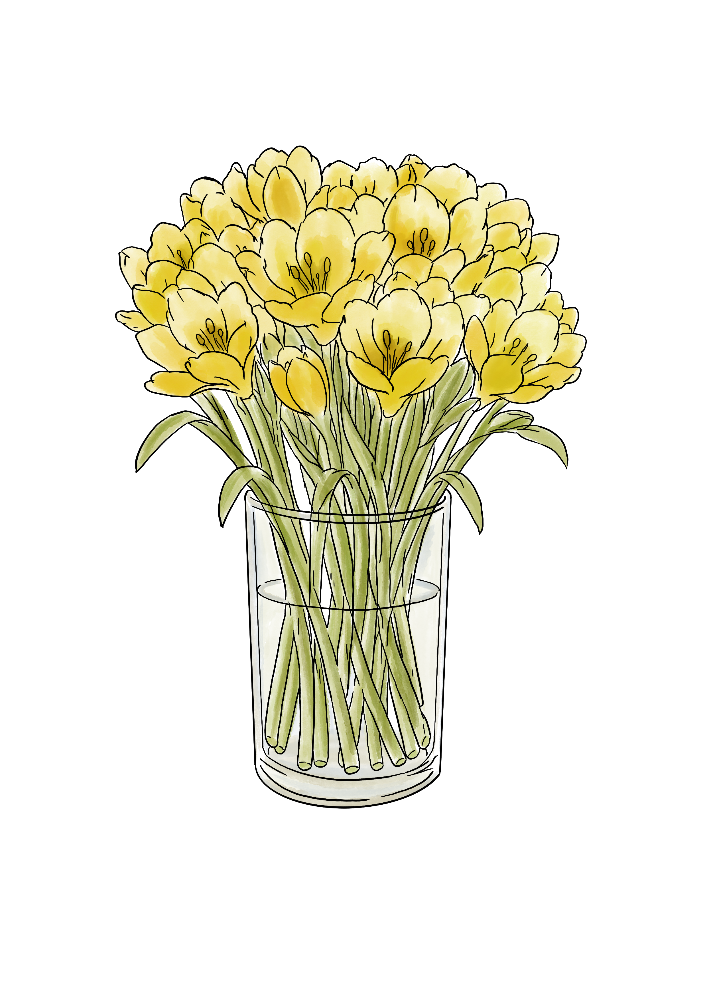 Blumenvase-Glas.png