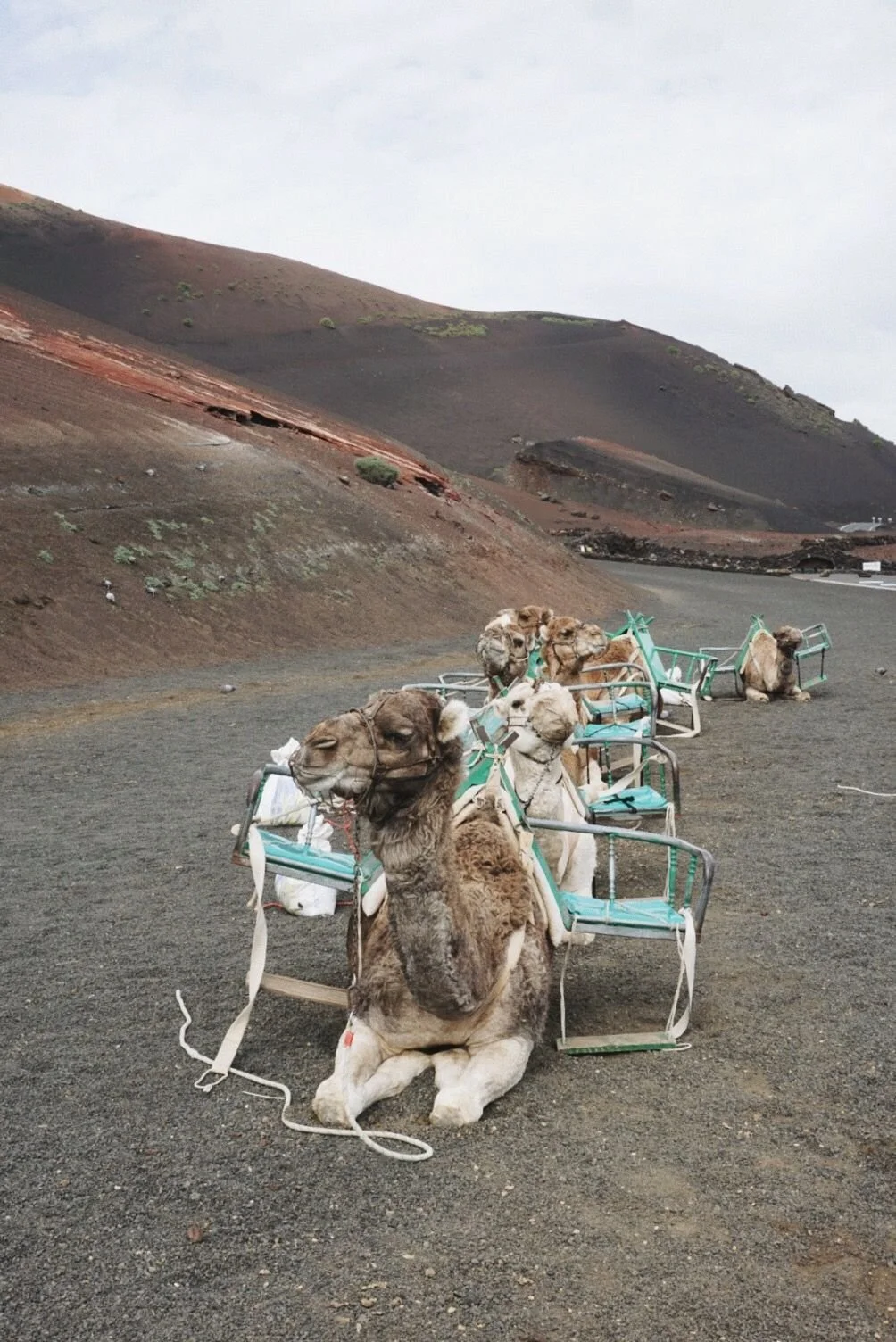 Timanfaya, Lanzarote