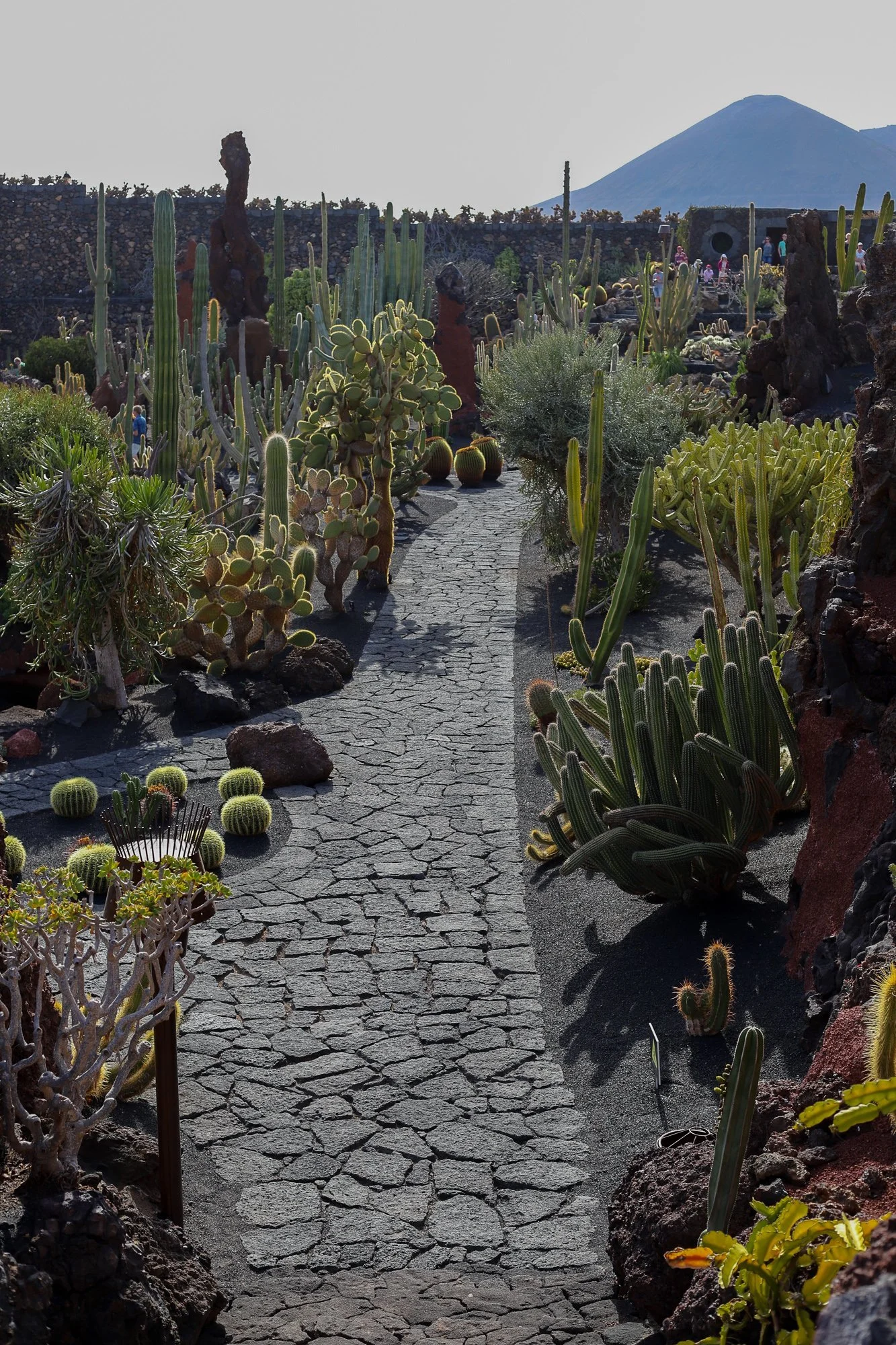 Lanzarote, tierra de volcanes