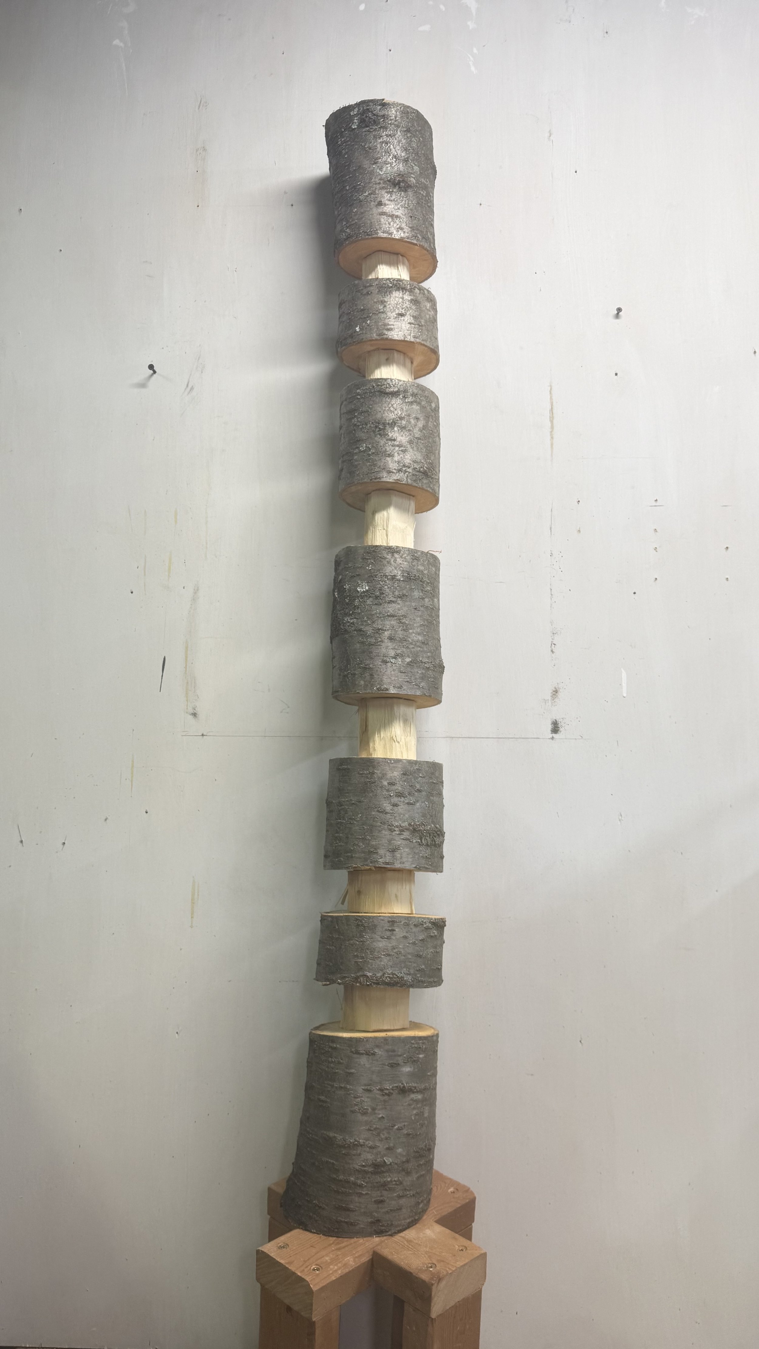 Song Totem, First and Last 2026
Cherry Tree 
5”x51”
