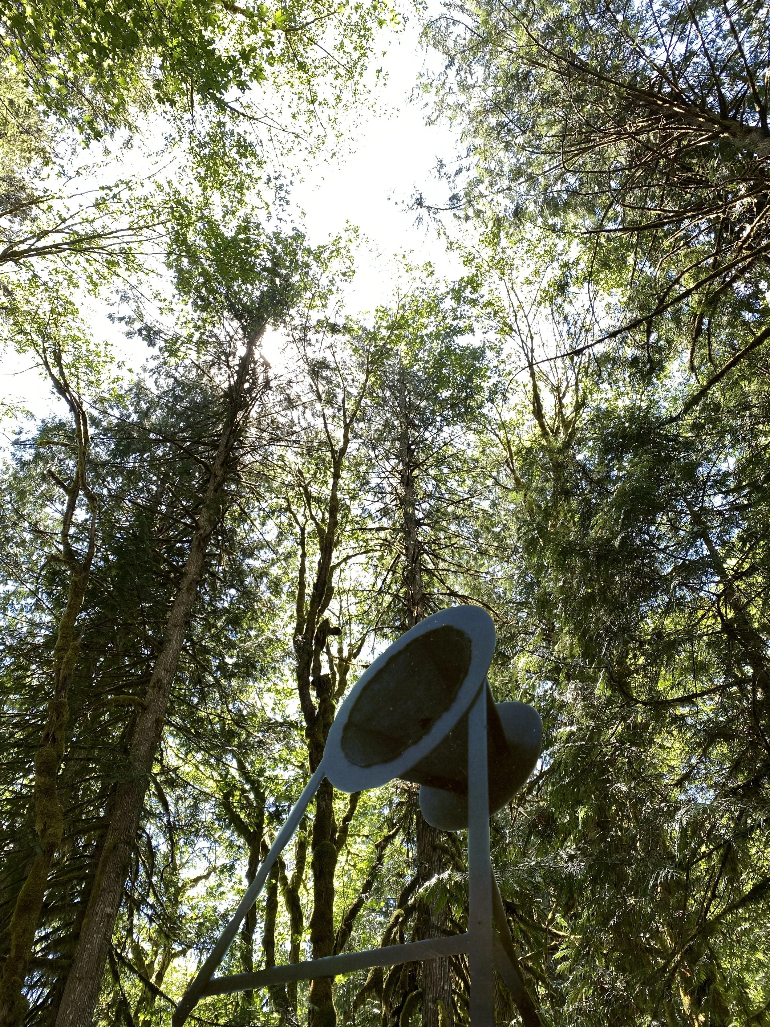 ERIE SIREN 1988
Wood, Fabric Oil
72"x72"x120"