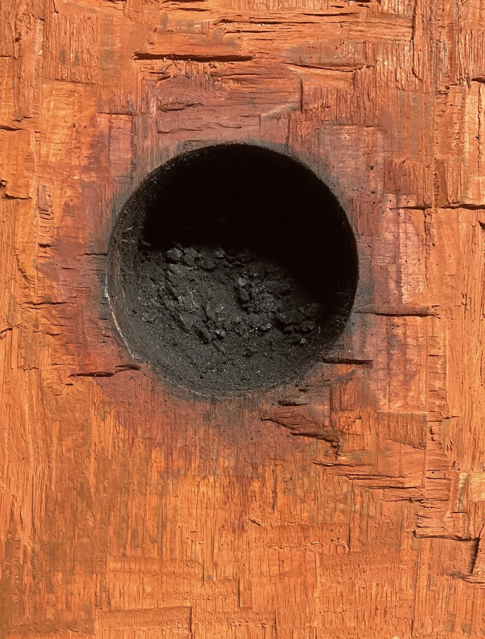 Hearth (detail of charcoal) 2025
Plywood, Oil