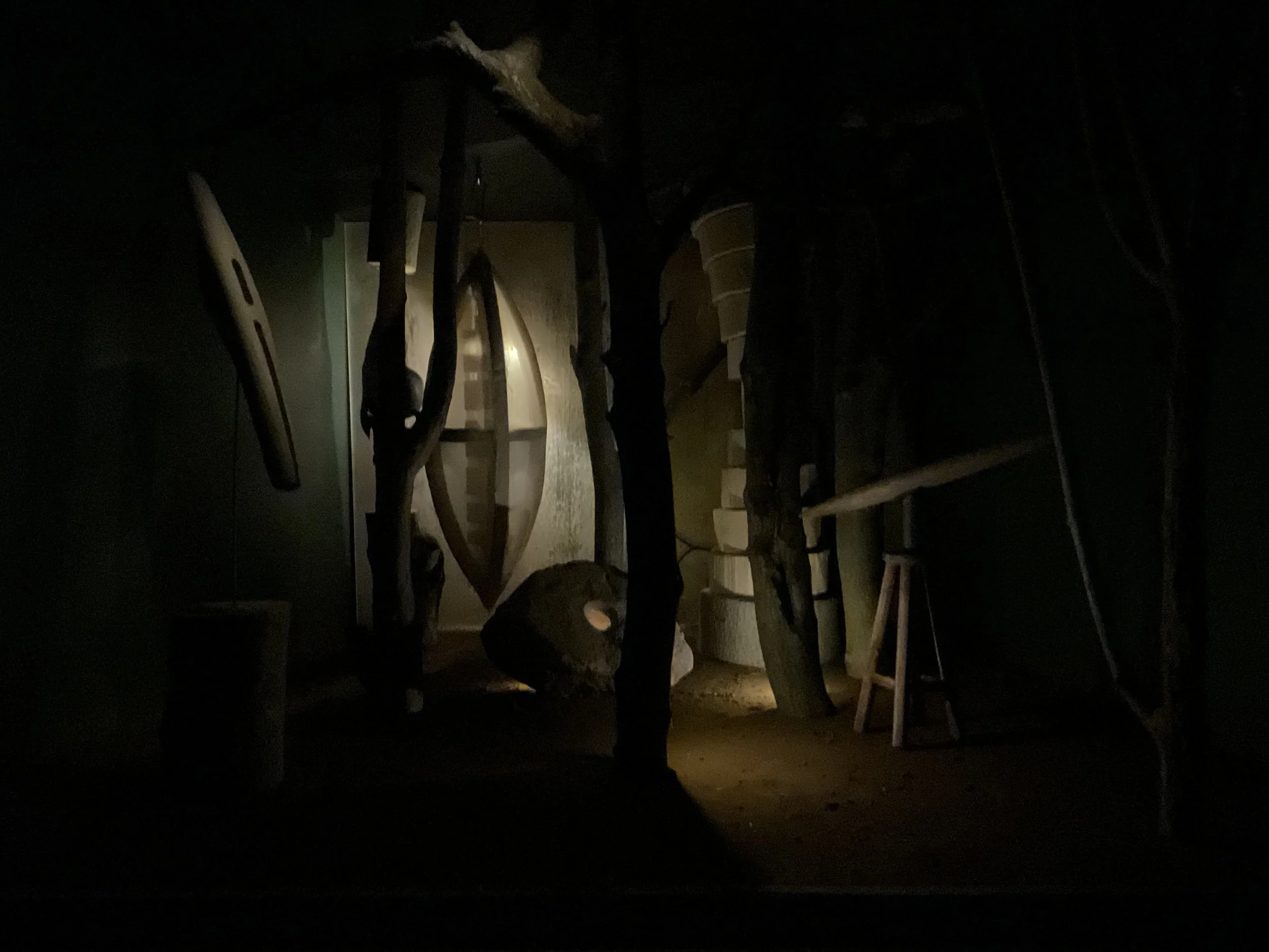 WINTER NIGHT, MONTCLAIR 2024
Photo M. Roberts
Tiny Gallery Installation
Wood, Stone, Branches, Screen Fabric
22.5"x15.5"x18.5"