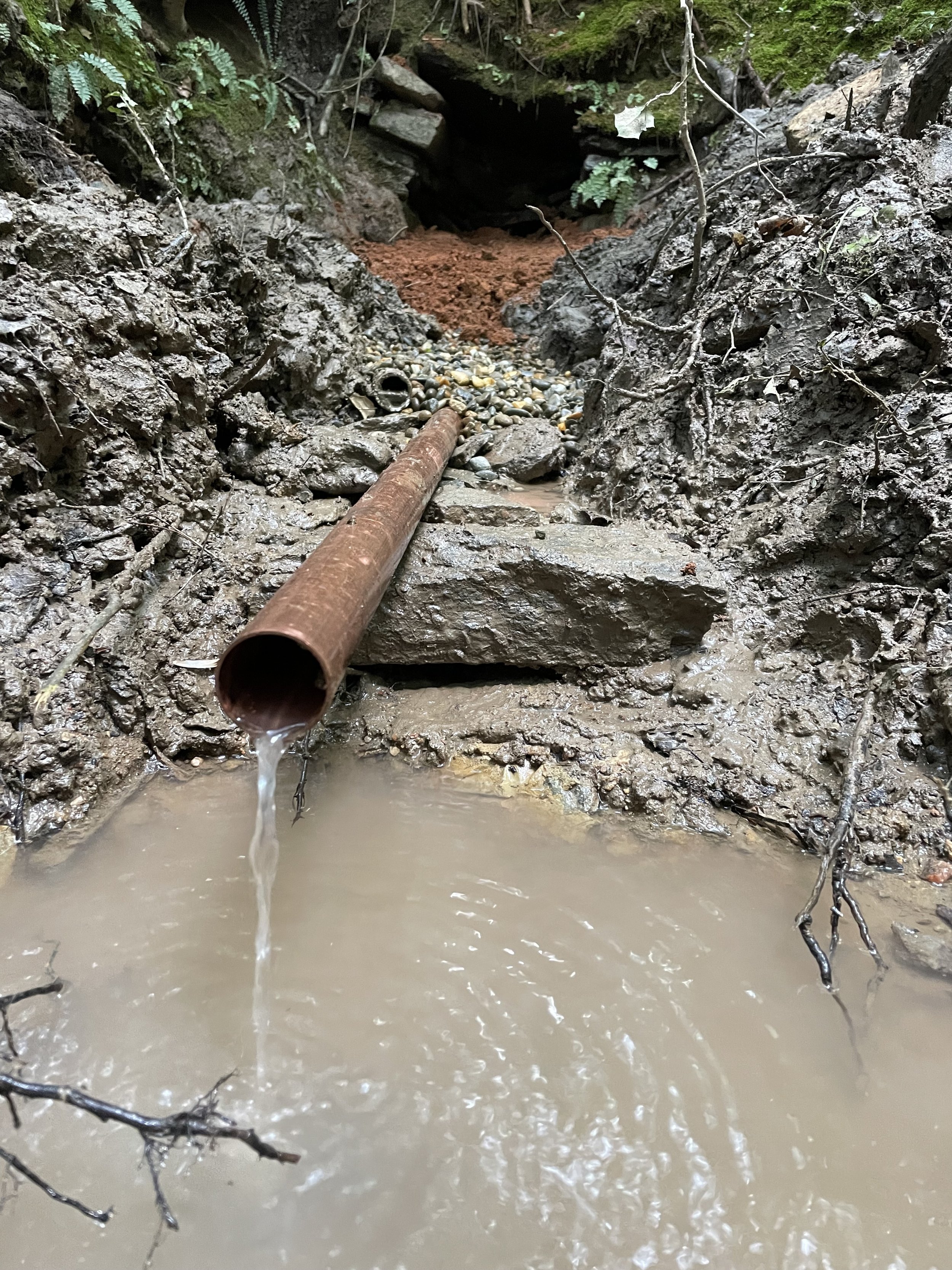 A custom copper pipe releasing fresh spring water into a small catchment, surrounded by placed stones and native plants.