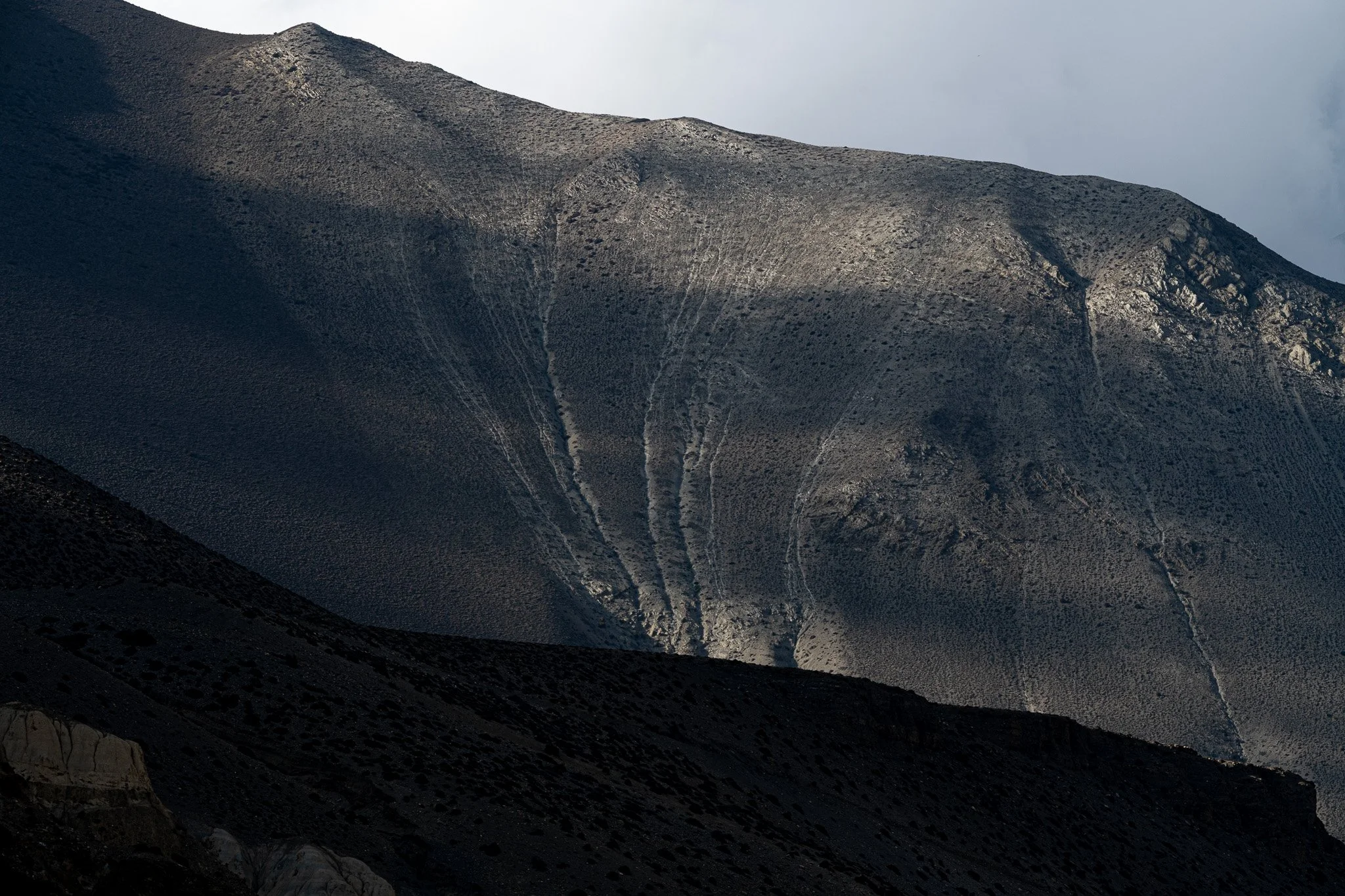 _DSC9333.jpg