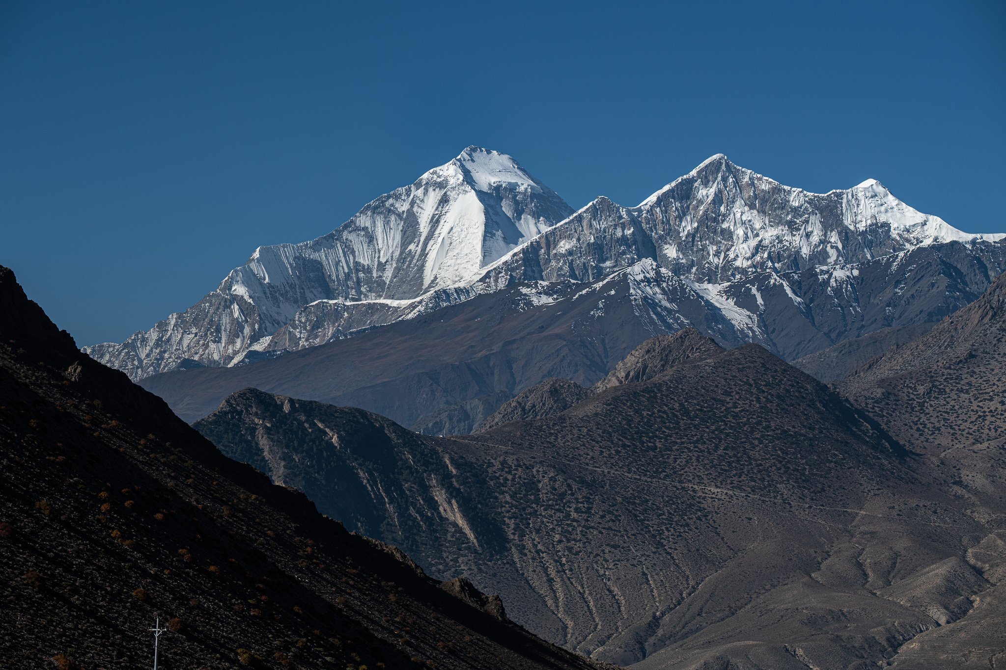 _DSC8137.jpg