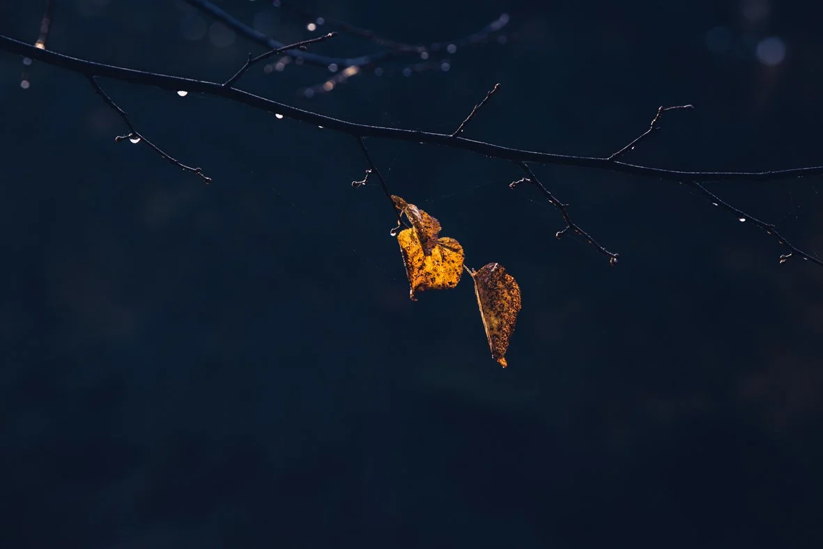 untitled-4503.jpg