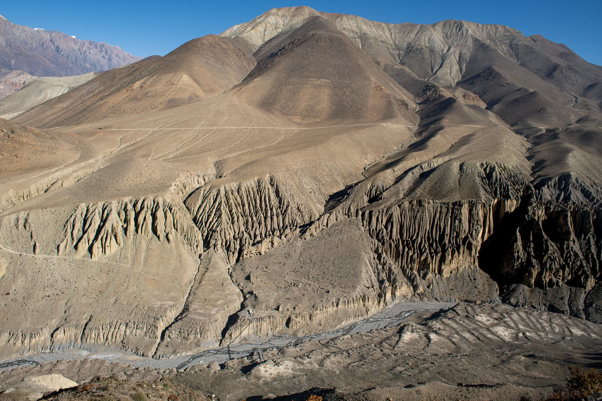 _DSC8248.jpg