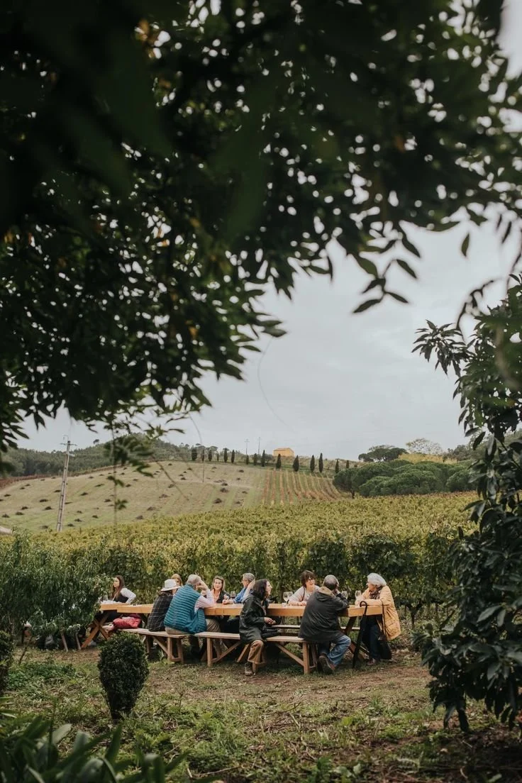 Gruppo di persone sedute a un tavolo all'aperto in un vigneto circondato da alberi e colline collinari.