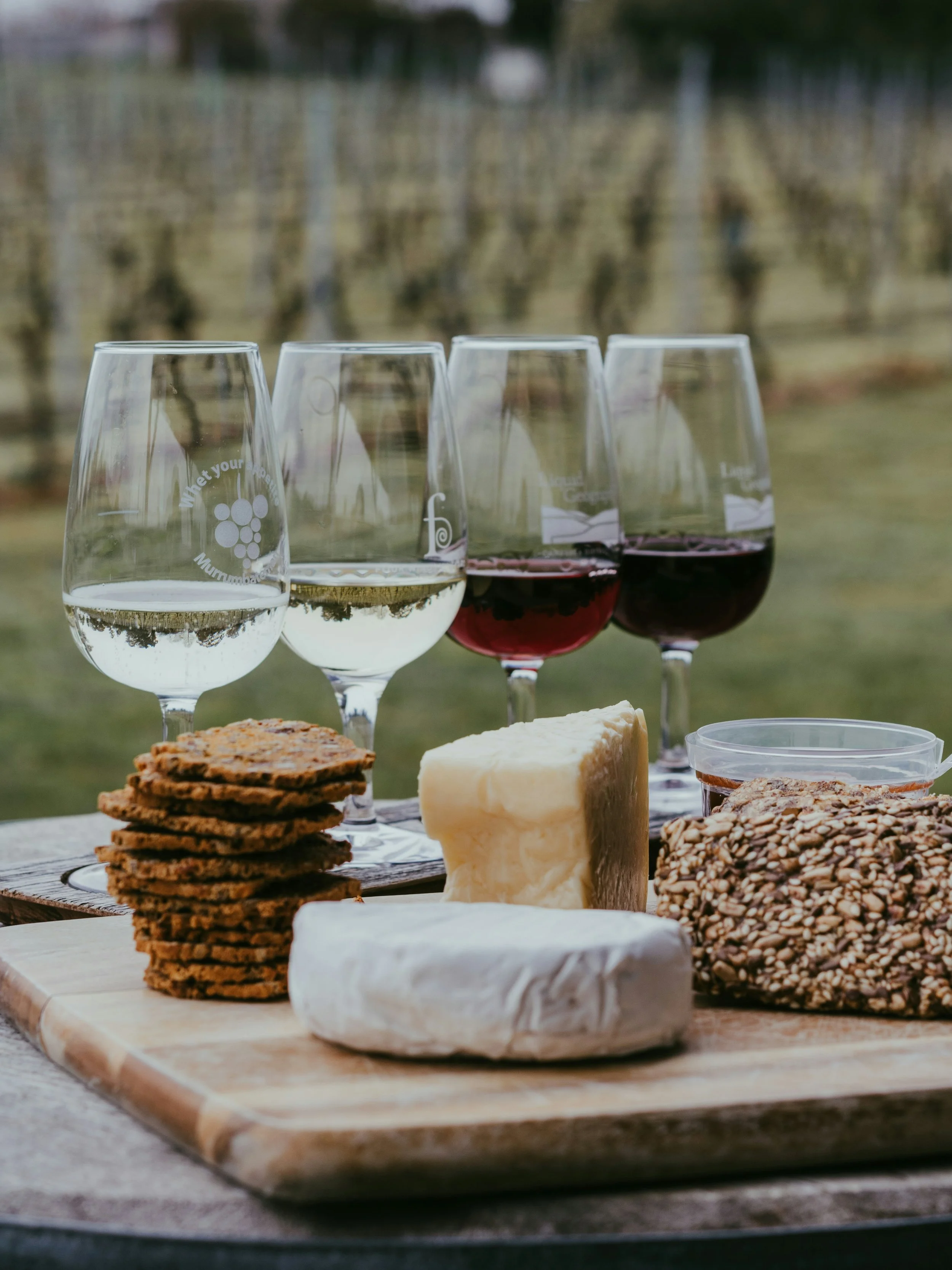 Vassoio con vari tipi di formaggi, biscotti e un bicchiere di vino rosso sullo sfondo di un vigneto.