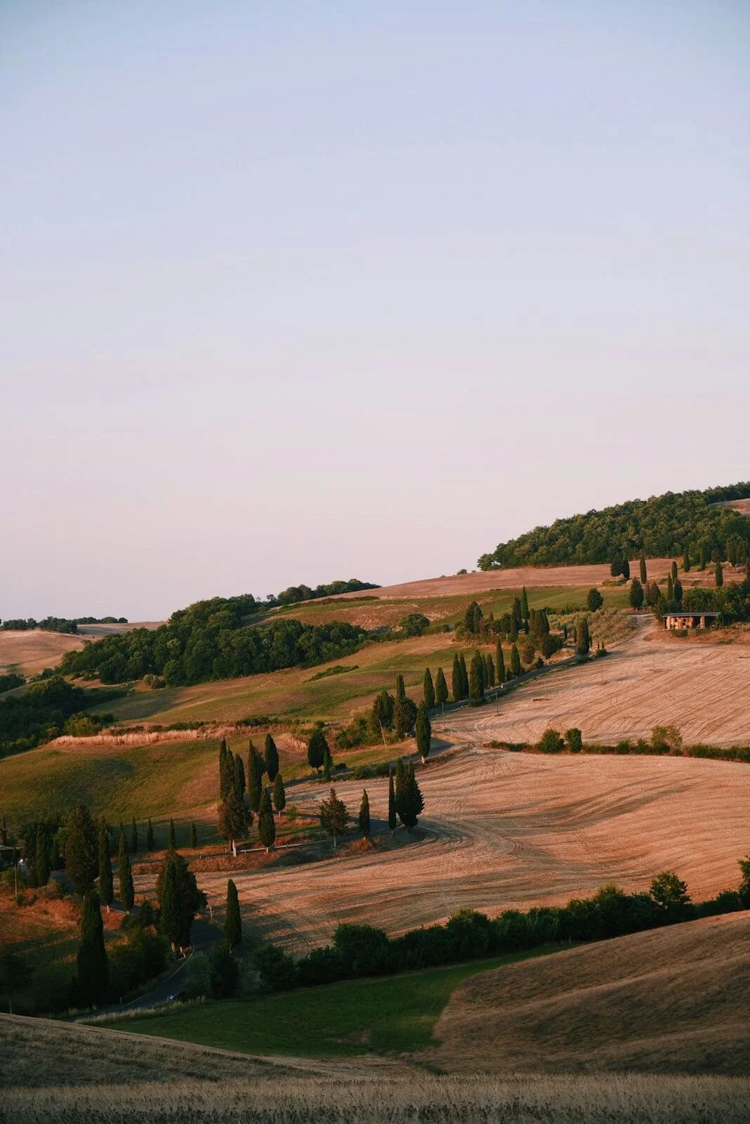 Paesaggio collinare con alberi di cipresso e campi coltivati, al tramonto in Toscana.