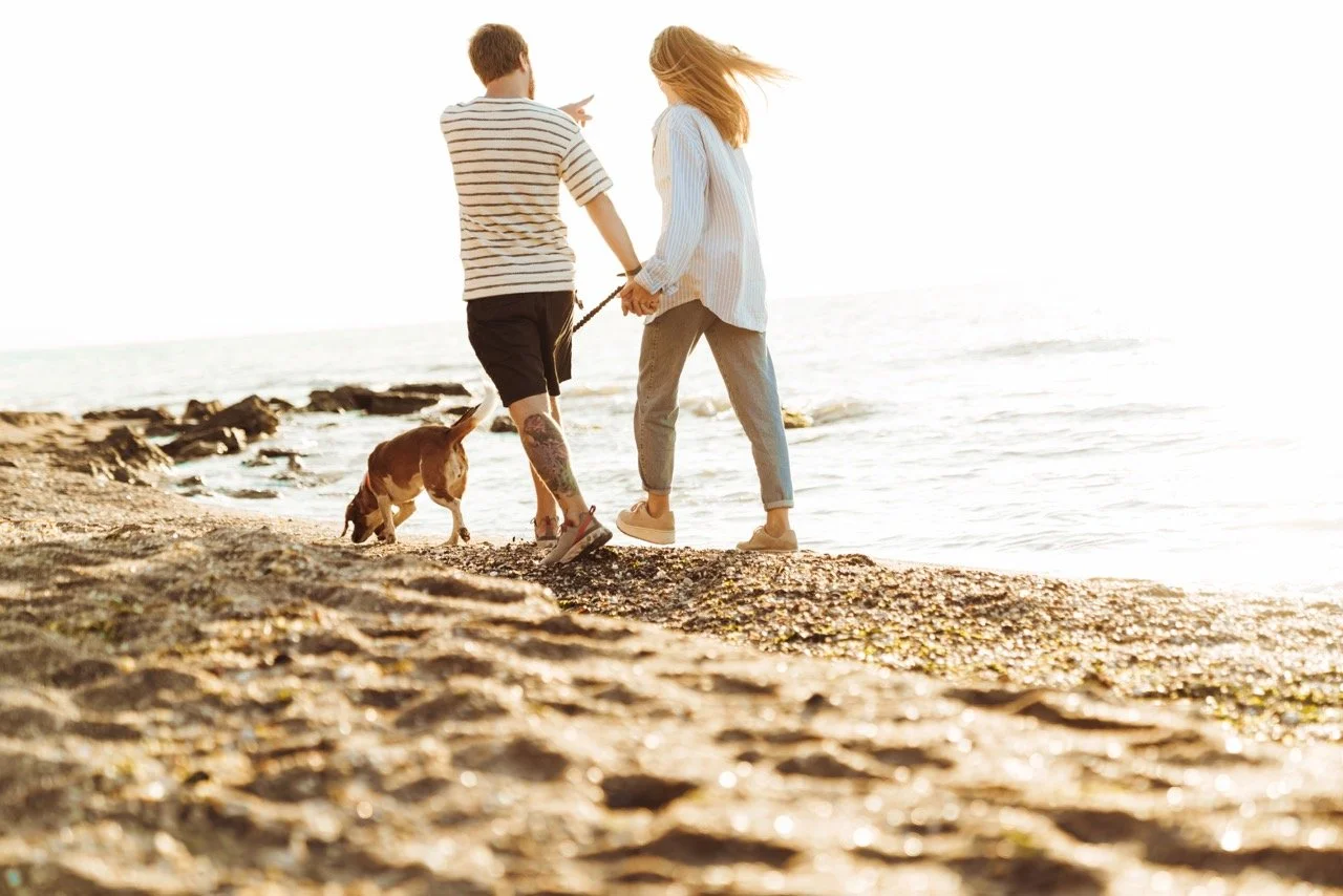 A couple walking on the beach with a dog during sunset, holding hands and looking at each other.