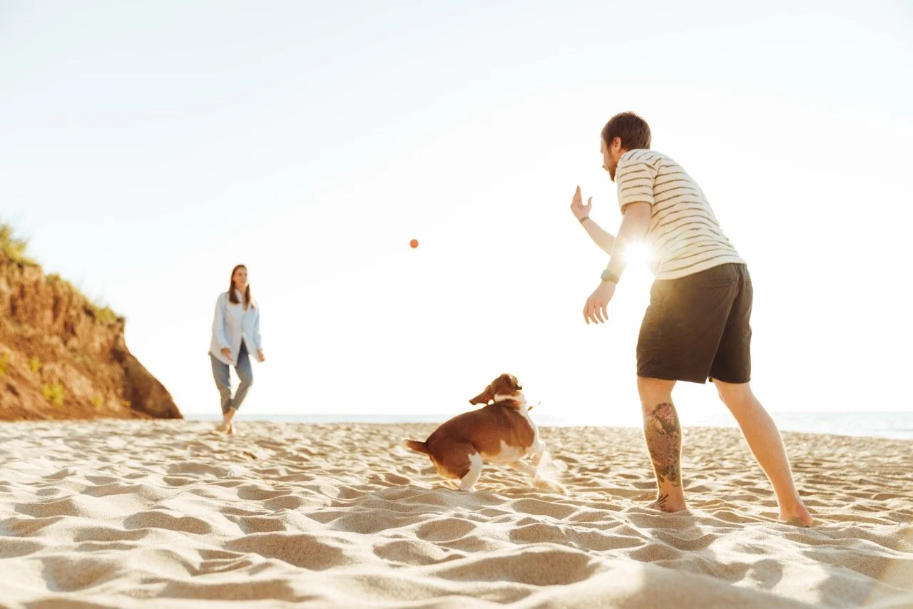 A man and a dog playing fetch on a sandy beach, with a woman in the background, near a rocky cliff, during sunset.
