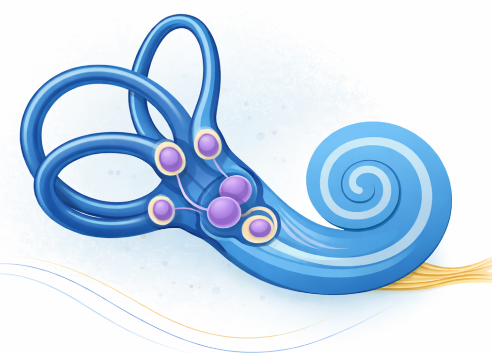 Illustration of a stylized, spiral-shaped oceanic creature with loops and tentacles in shades of blue, with purple and yellow accents.
