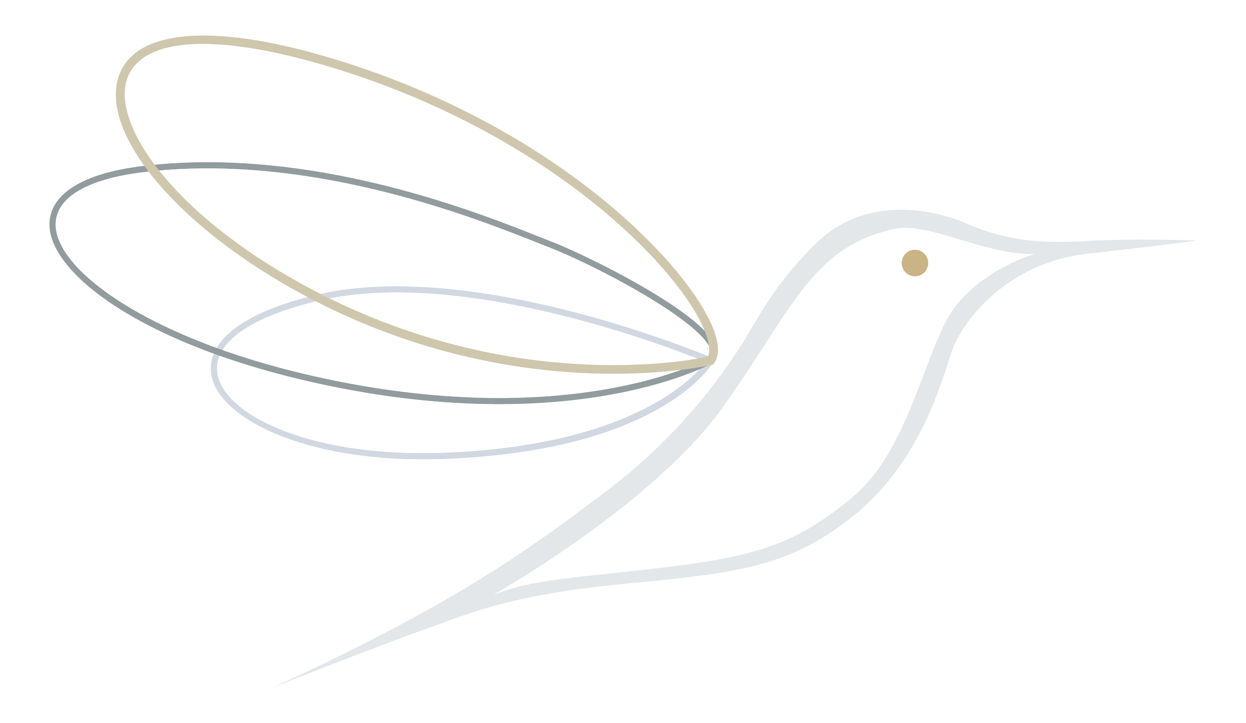 Line drawing of a hummingbird's head with stylized wings in the background, rendered in light neutral colors.