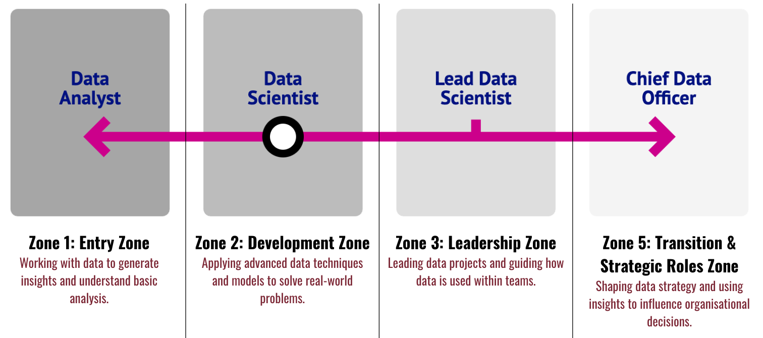 A flowchart illustrating the data career progression across five zones. Zone 1 is Entry Zone working with data to generate insights. Zone 2 is Development Zone applying advanced data techniques. Zone 3 is Leadership Zone leading data projects. Zone 5 is Transition & Strategic Roles Zone shaping data strategy.