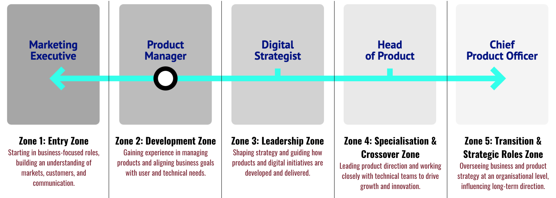A visual diagram of a product management organizational flow, showing roles from Marketing Executive to Chief Product Officer across five zones with descriptions, connected by a horizontal arrow indicating direction from entry to strategic roles.