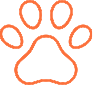 Outline of a dog paw print in orange.
