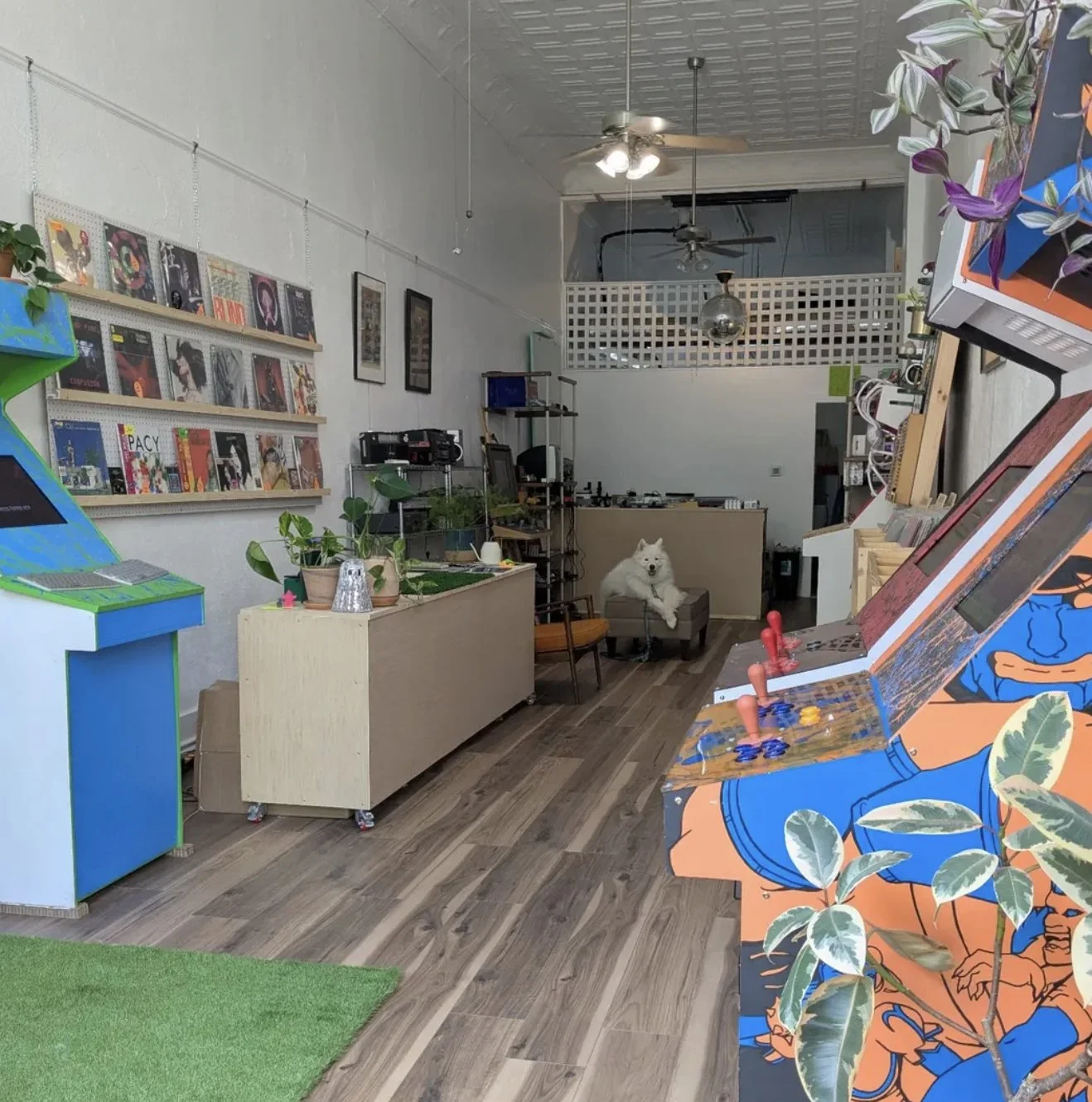 Oasis Ltd Records is a downtown Marshall shop specializing in vinyl records, cassettes, CDs, and curated analog media alongside a carefully selected mix of vintage video games and consoles. The space also features skate decks, audio equipment, and a 