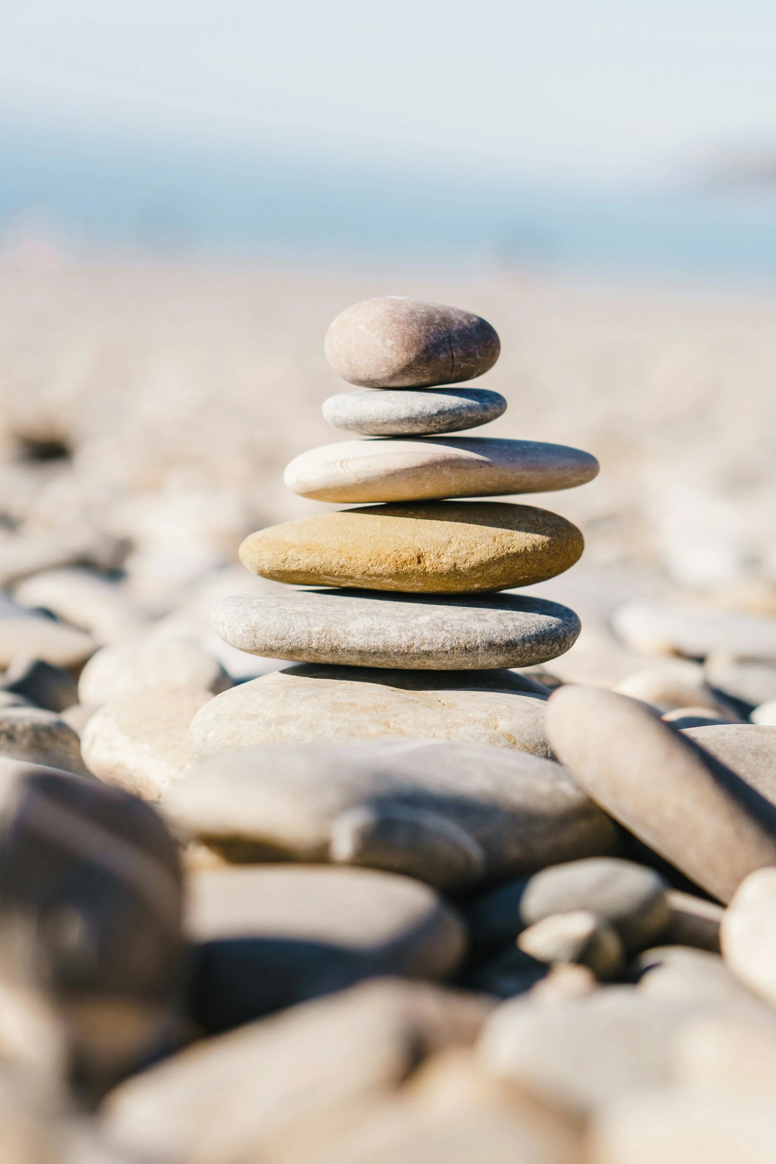 + BASIC ∙ Personal Organizer