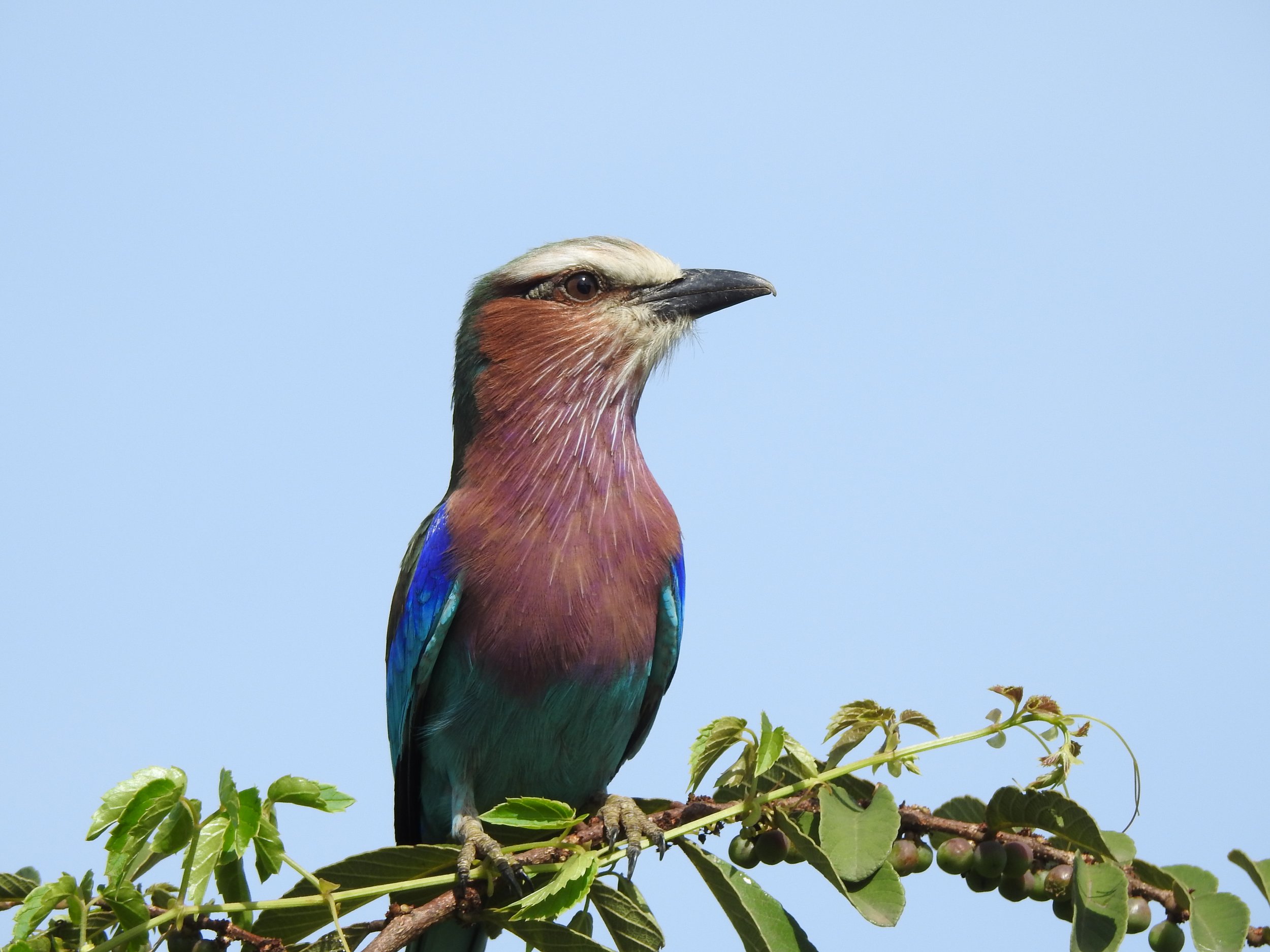 DSCN5754.JPG
