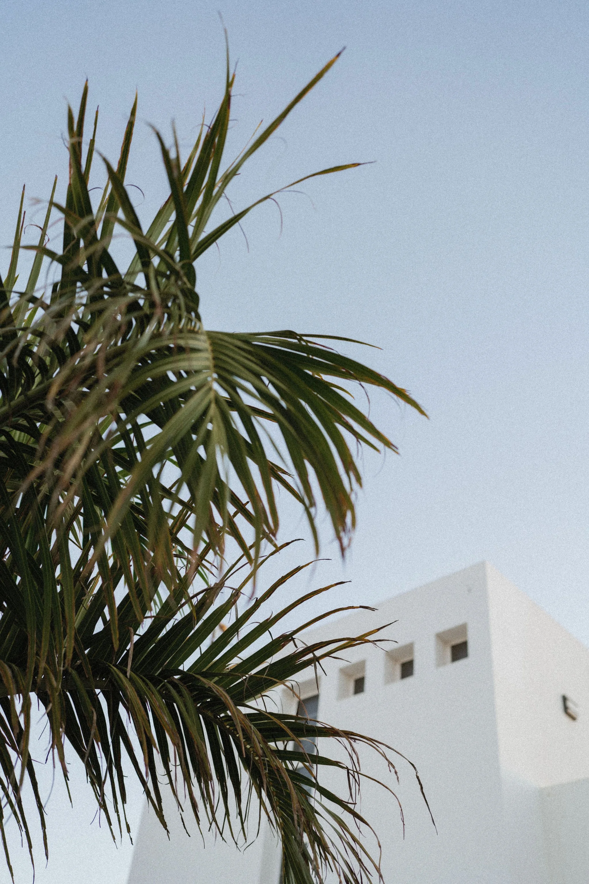 AnniStylePhotography-LanzaroteWedding-Anni&Nils-0,3.jpg