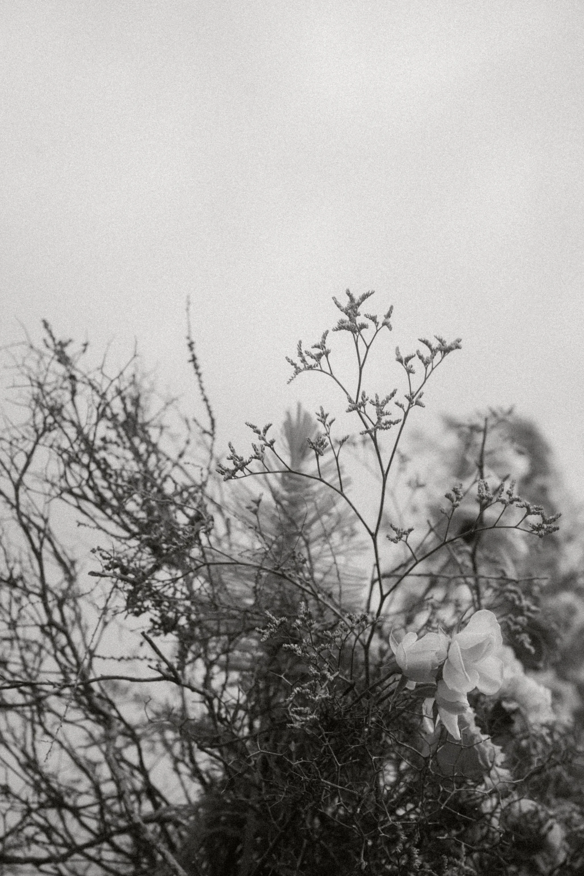 AnniStylePhotography-LanzaroteWedding-Anni&Nils-128.jpg