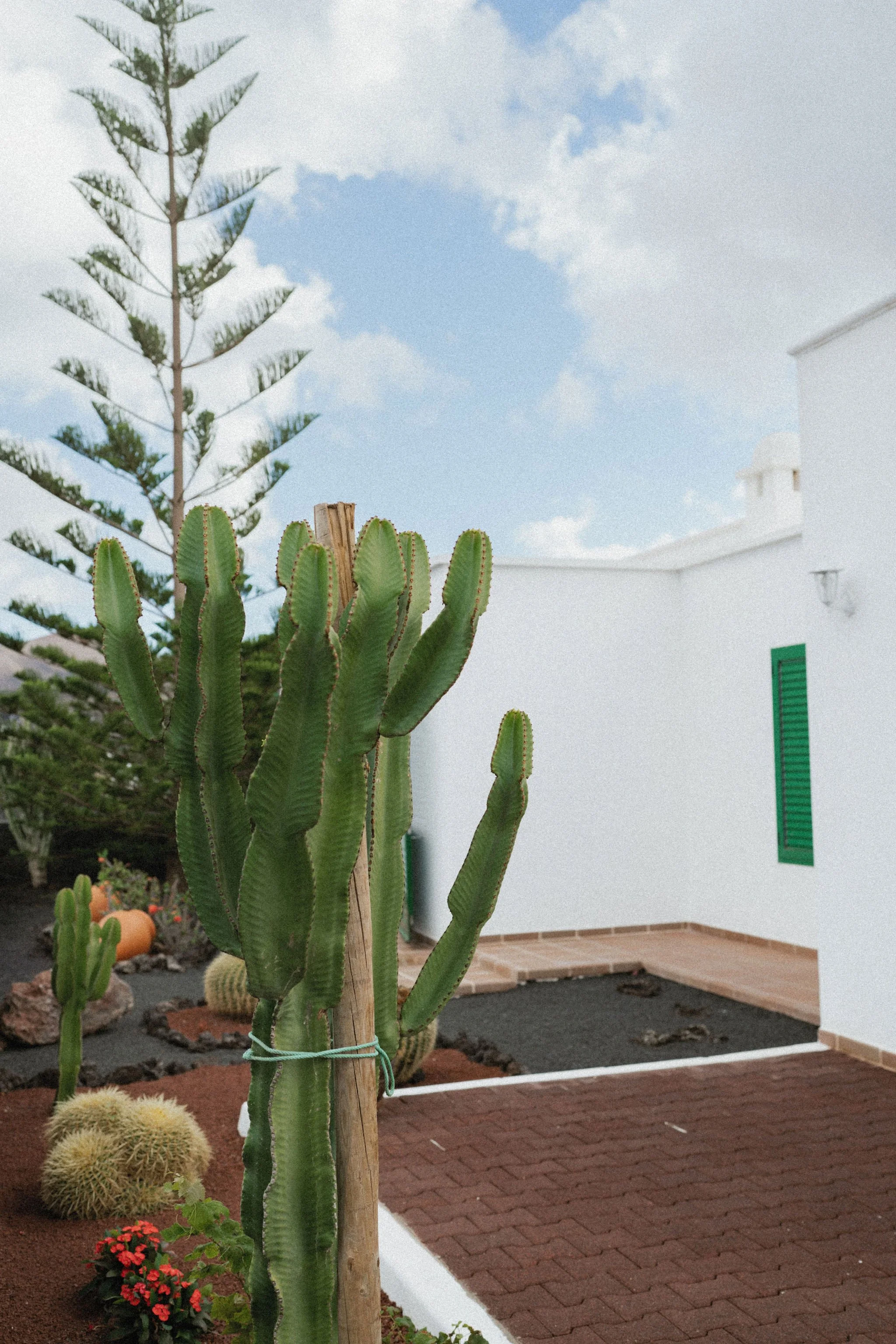 AnniStylePhotography-LanzaroteElopement-Anna&Niklas-103.jpg
