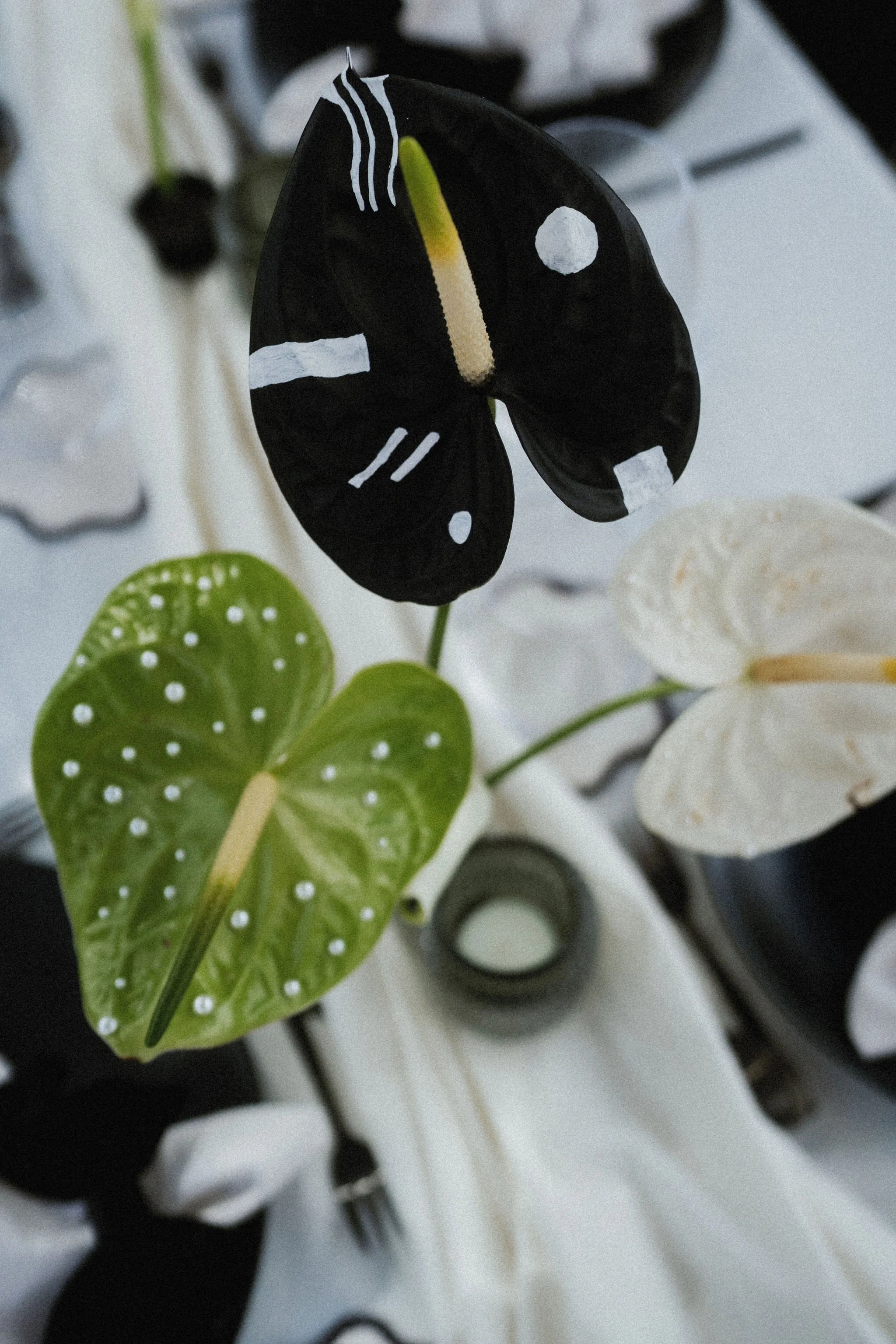 AnniStylePhotography-LanzaroteWedding-FincaLasHigueras-C&H-107.jpg