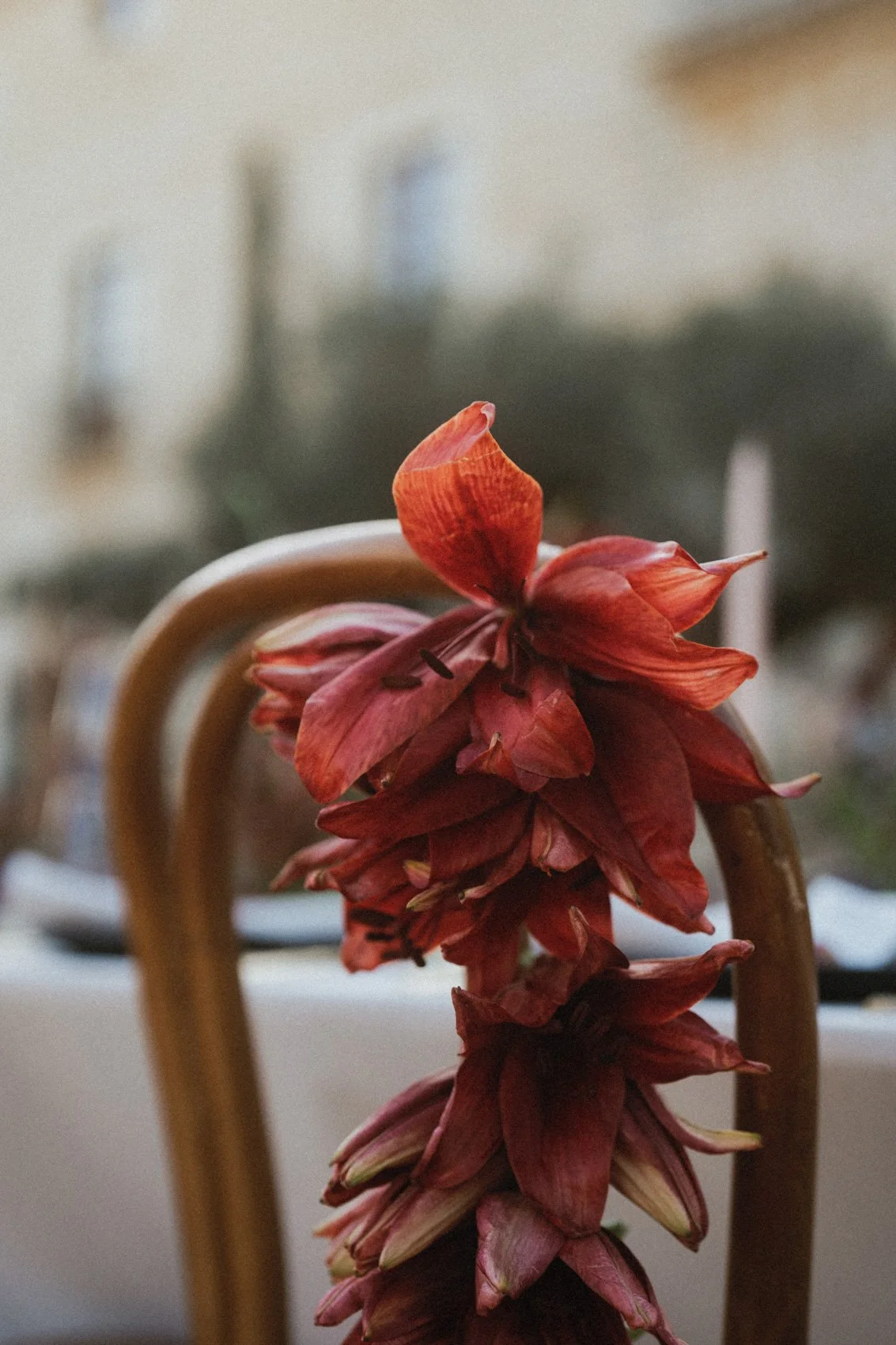 Mallorca Wedding Love Destination Events-65.JPG