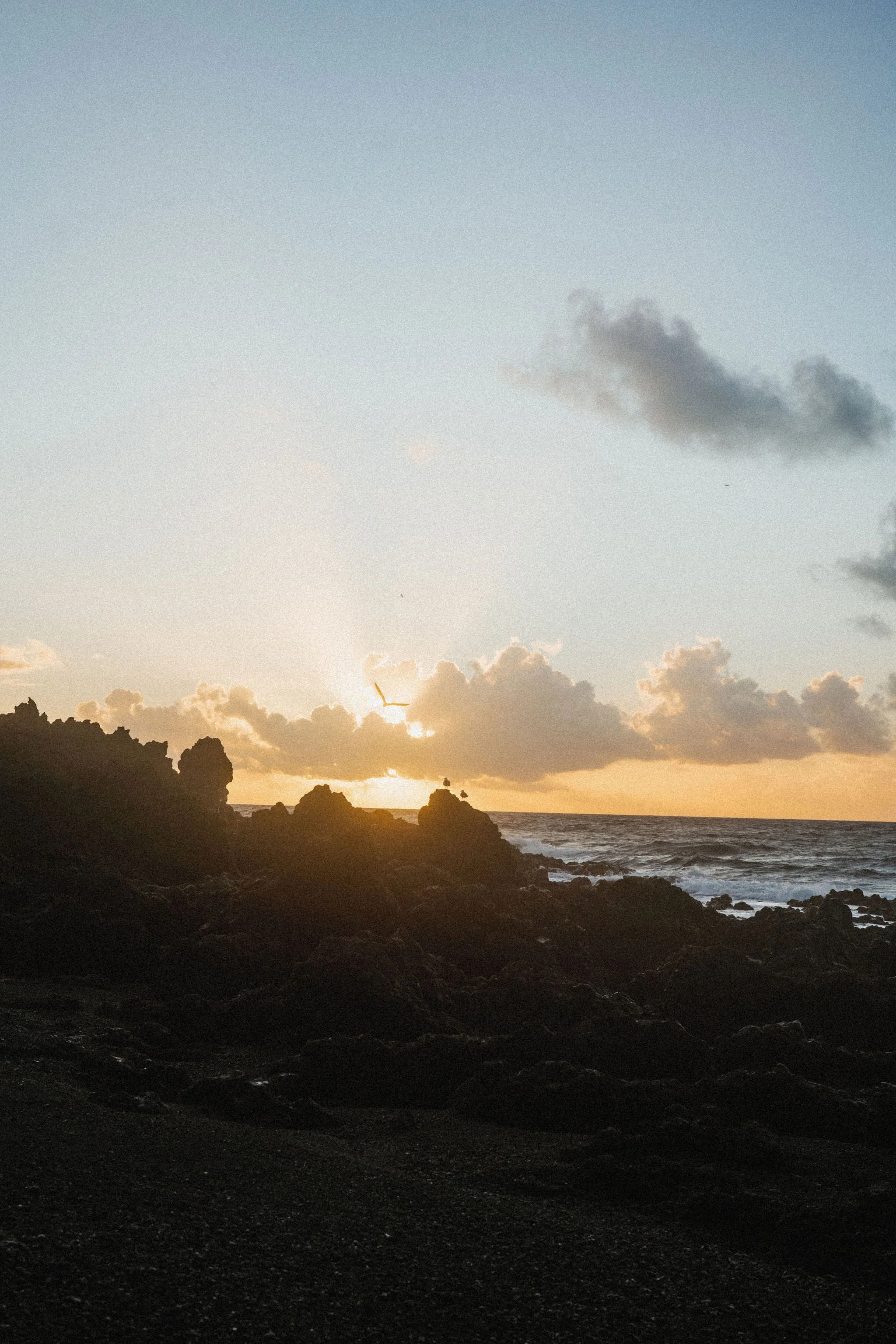 AnniStylePhotography-LanzaroteElopement-Anna&Niklas-412.jpg