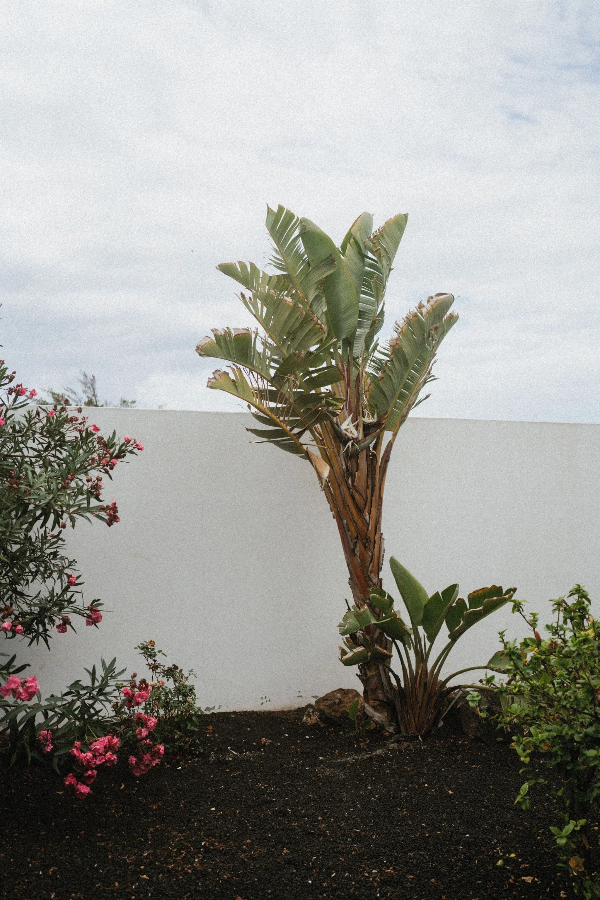 AnniStylePhotography-LanzaroteWedding-Anni&Nils-85.jpg