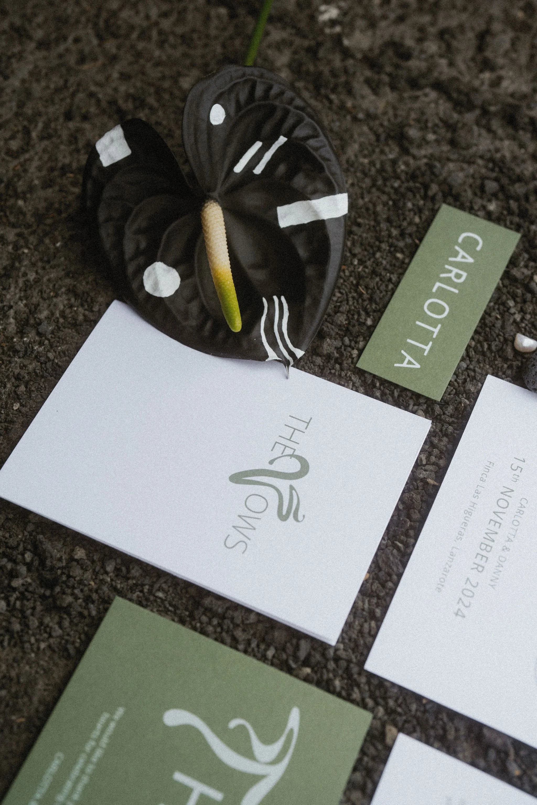 AnniStylePhotography-LanzaroteWedding-FincaLasHigueras-C&H-180.jpg