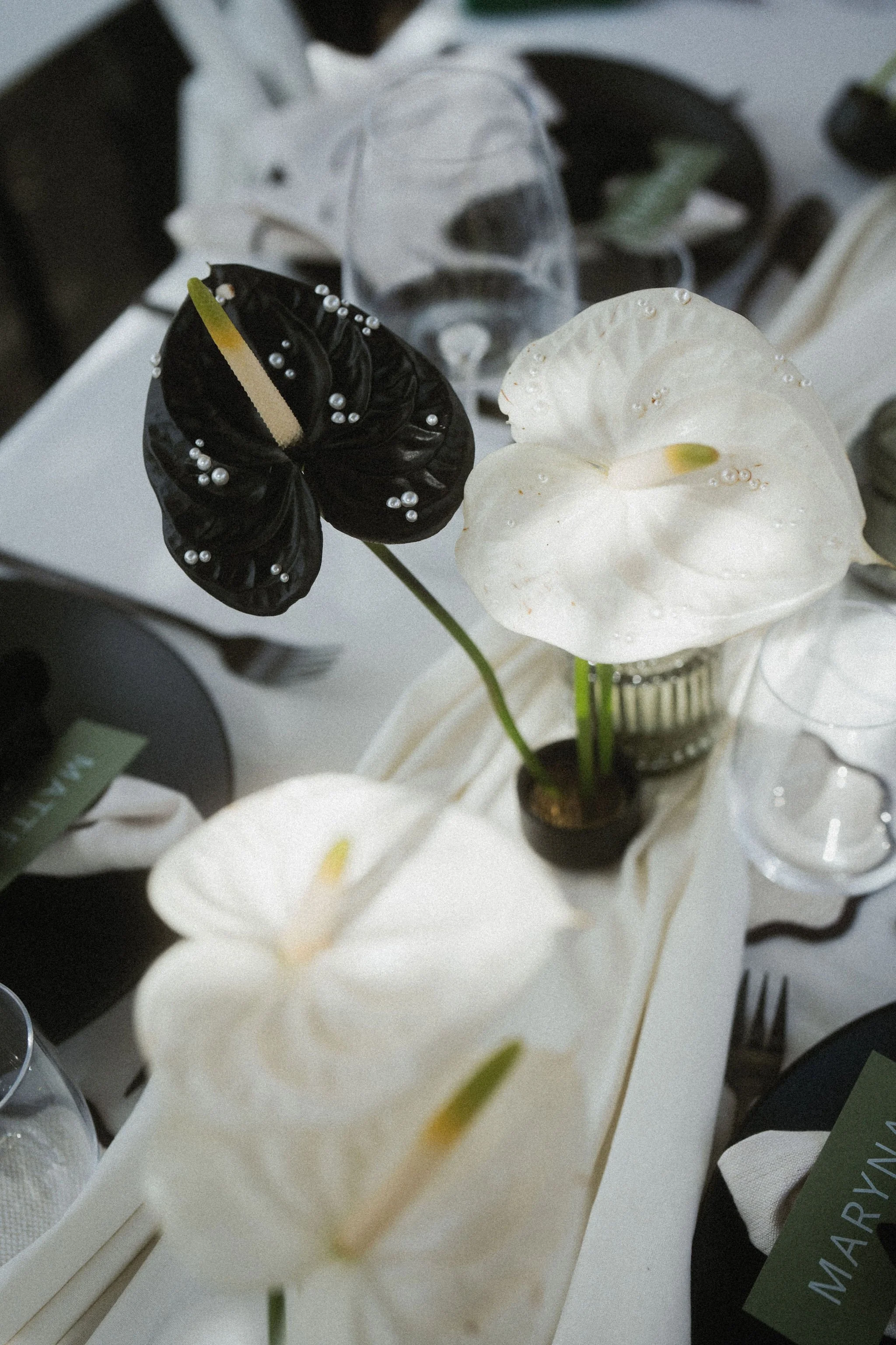 AnniStylePhotography-LanzaroteWedding-FincaLasHigueras-C&H-131.jpg