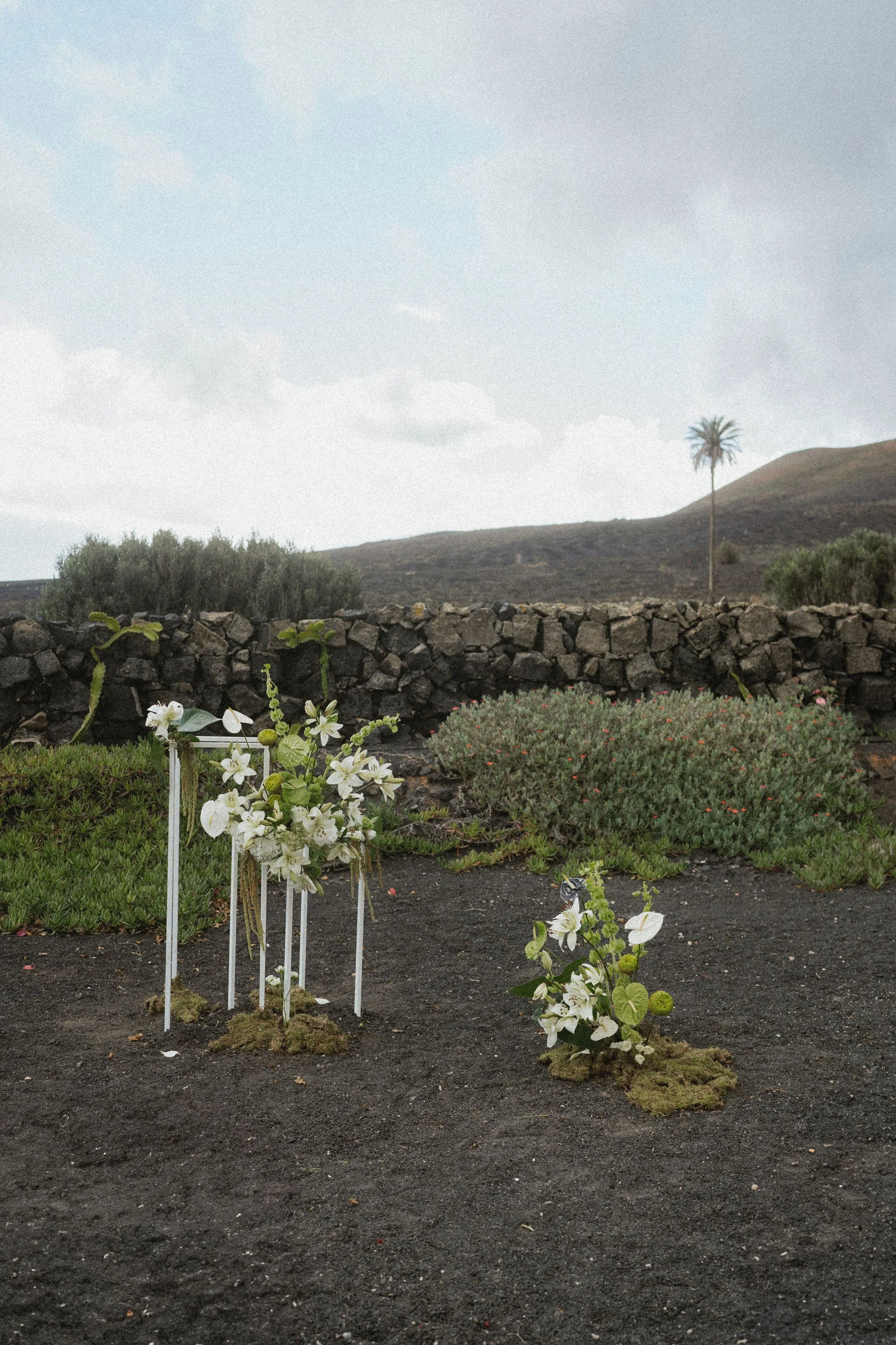 AnniStylePhotography-LanzaroteWedding-FincaLasHigueras-C&H-199.jpg